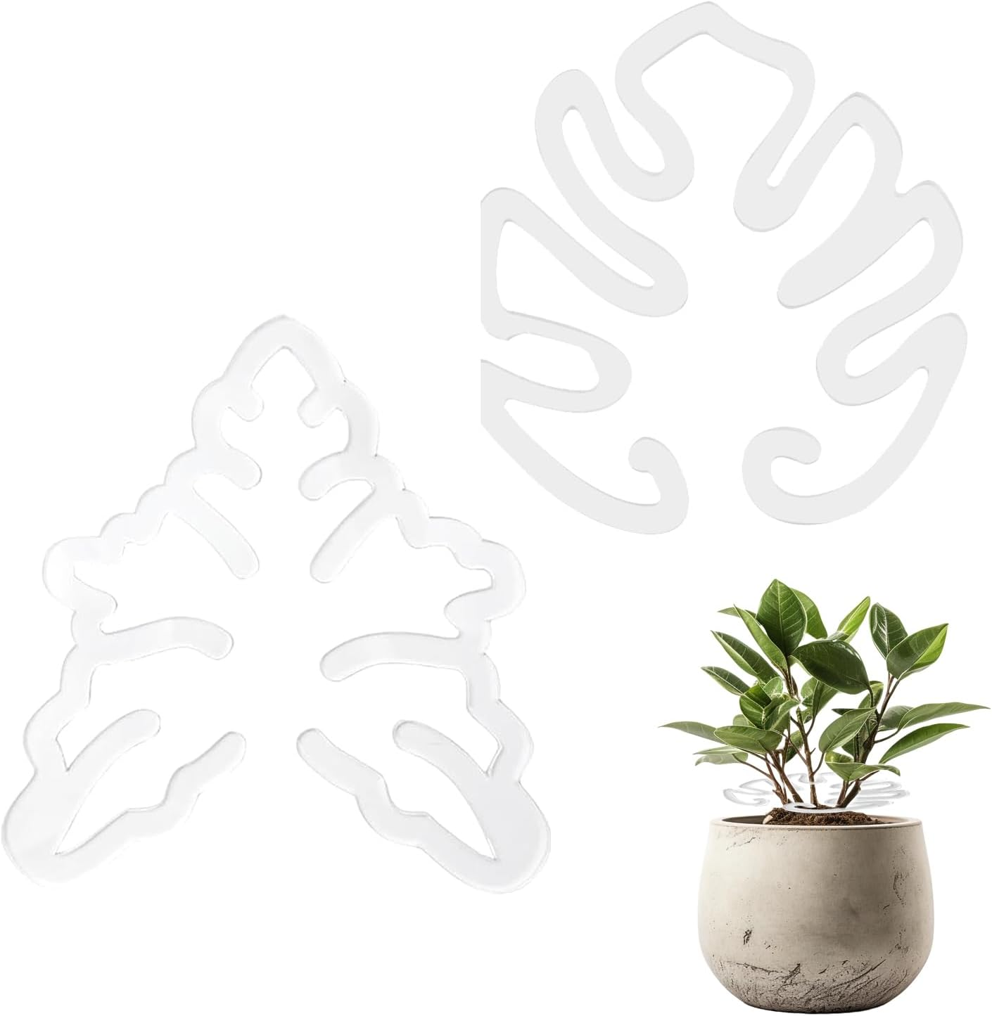 2PCS Monstera Plant Support for Growing Plants, Plant Life Support,Indoor Plant Stakes,Monstera Moss Pole,Leaf Plant Growth Accessories for Indoor & Outdoor Plants,Acrylic Plant Support Ring image number 3