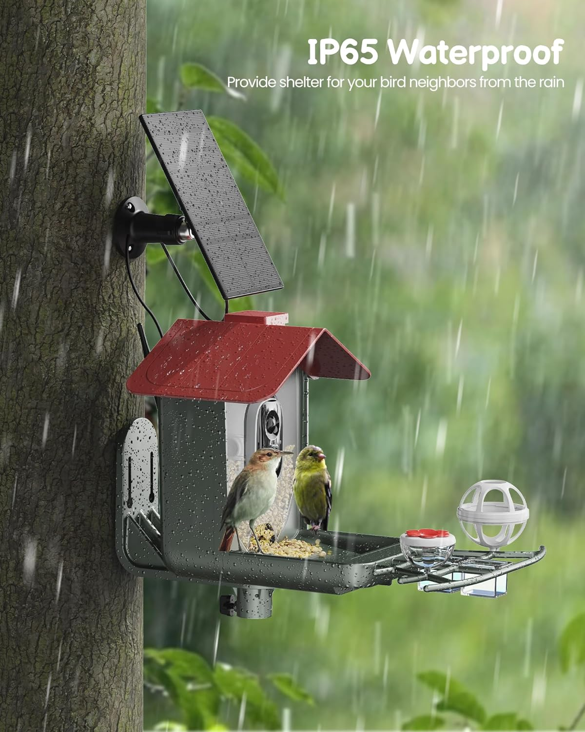 Bird Feeder with Camera Outdoor Solar: Smart Birdfeeder Cam for outside Garden - 2K HD Live Video Camera AI Recognition Visible Window Auto Capture - Bird Lover Gifts image number 6
