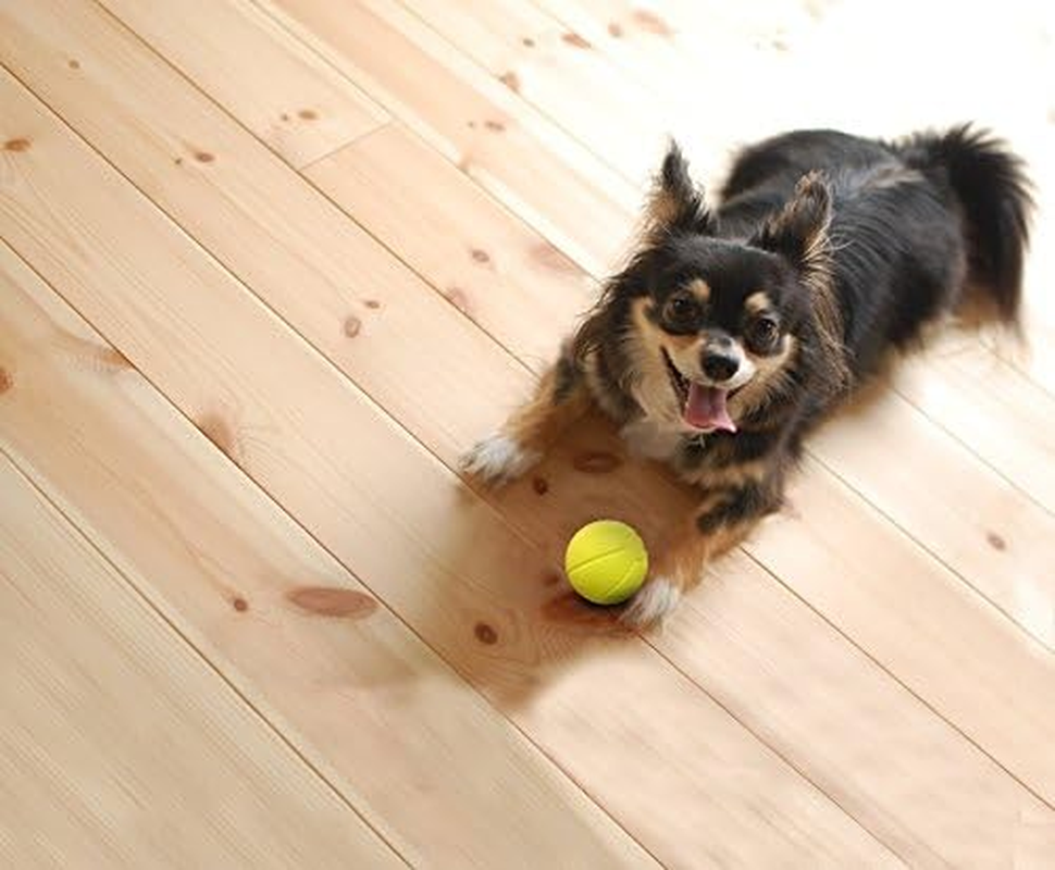 Martin SELLIER Rubenroll Dog Toy Soft Rubber Ball Small Orange image number 3