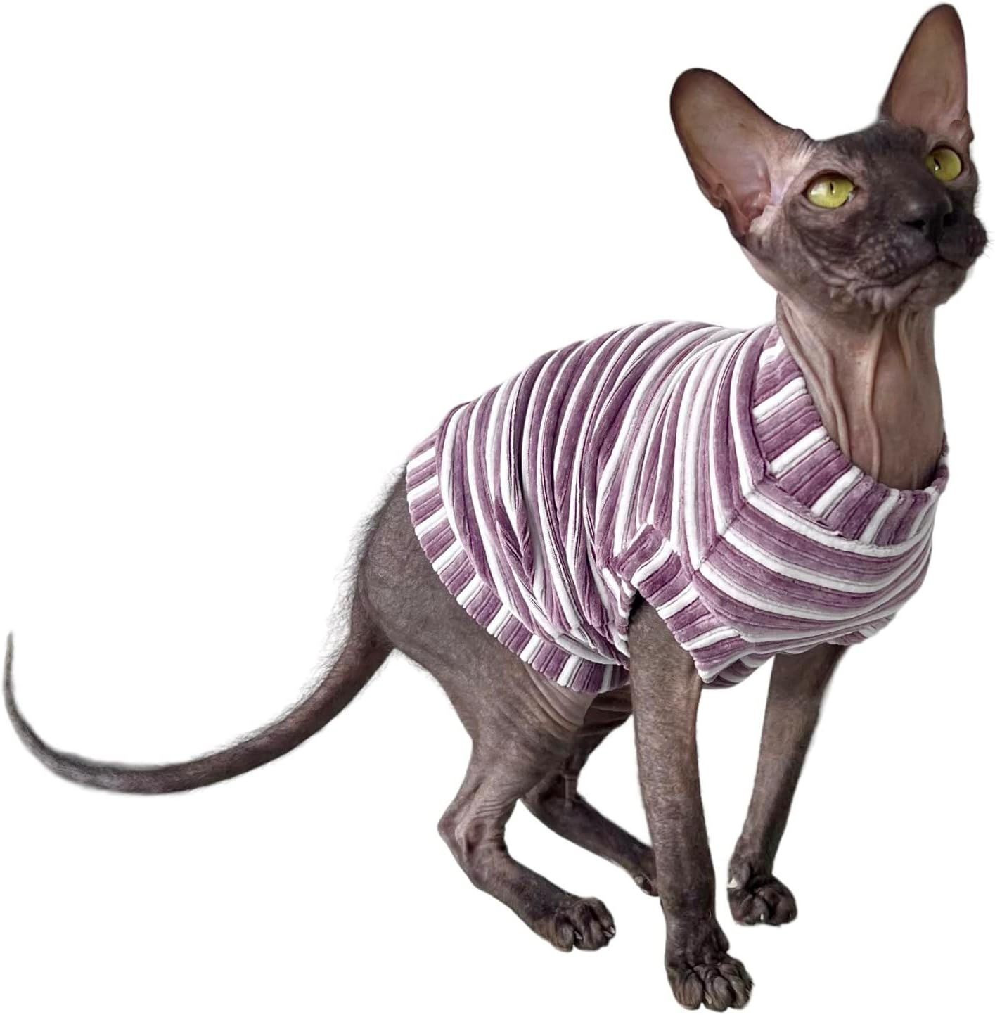 Kotomoda Hairless Cat'S T-Shirt Corduroy Mauve Stripes for Sphynx Cat (Large) image number 4