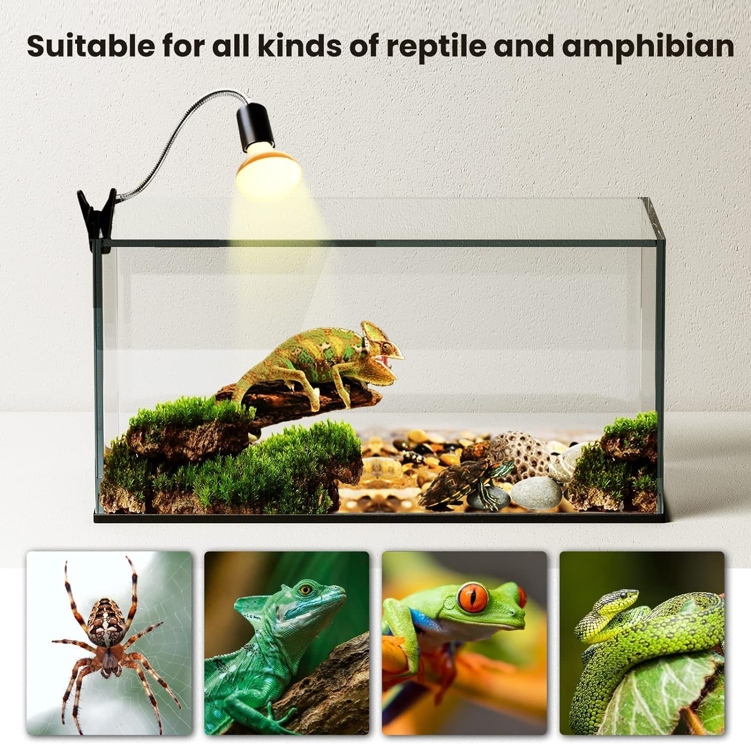 100W Reptiles Heat Bulb E27 Base Warm White Light Basking Bulb, Dimmable UVA Heat Lamp Bulbs for Reptiles, Chicks, Tortoise, Bearded Dragon, Dogs, Lizard 2Pack image number 3