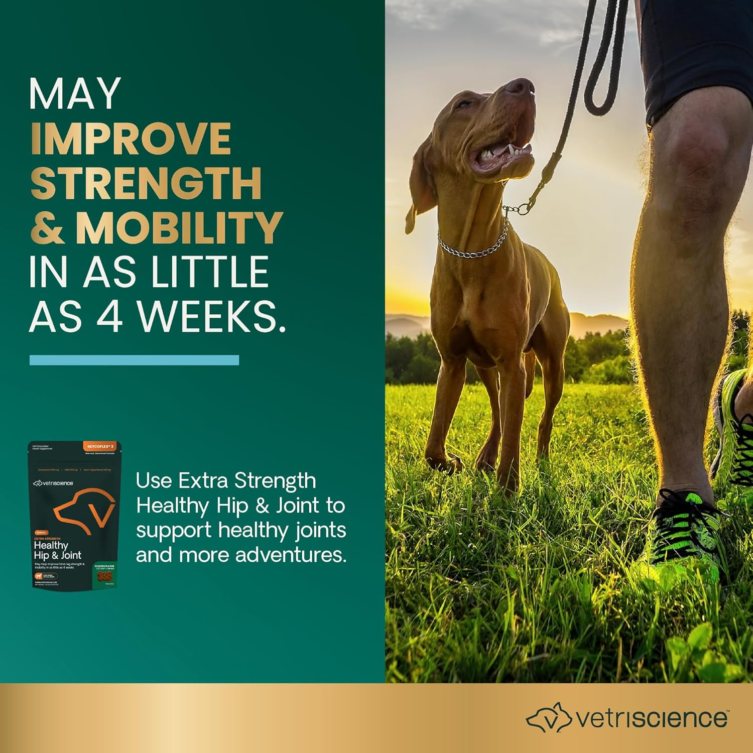 Vetriscience Extra Strength Healthy Hip & Joint Chews, Glycoflex Glucosamine and Green-Lipped Mussel Joint Support Supplement for Dogs, Promote Mobility and Soothe Joint Discomfort, Chicken, 120 Count