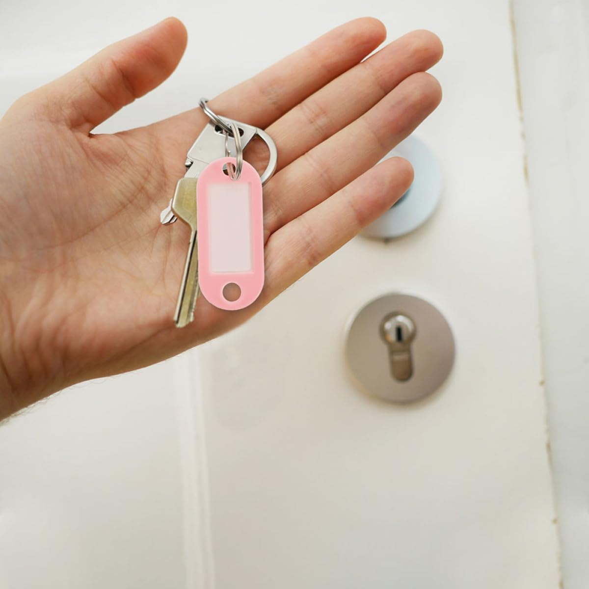 Totority 30PCS Cherry Blossom Pink Keychain Tags with Writable Labels and Rings, Compact Portable Key Identifiers and Luggage Markers for Travel Suitcases and Bag Organization image number 4