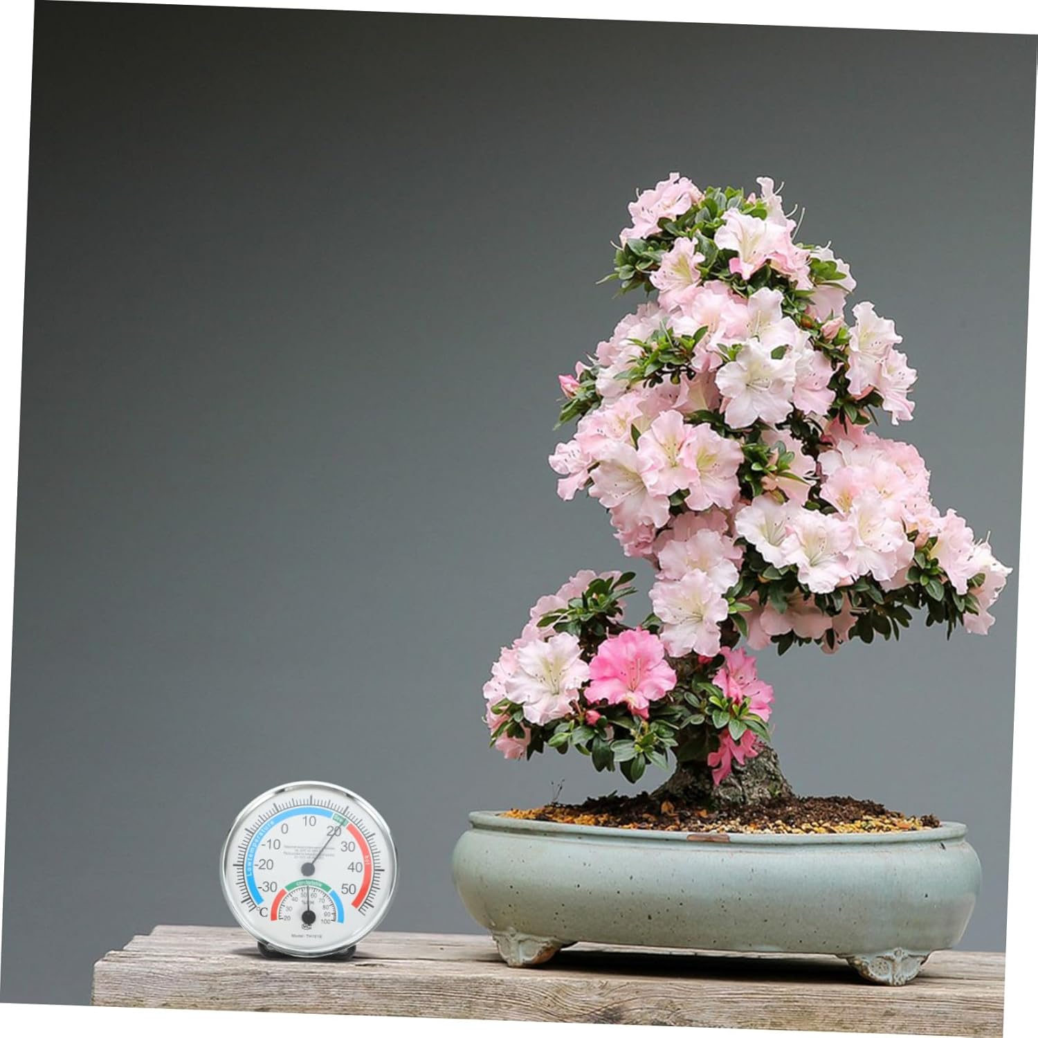 Accurate Indoor Outdoor Hygrometer Thermometer Wall-Mounted Temperature Humidity Gauge for Garden Home Office Abs image number 2