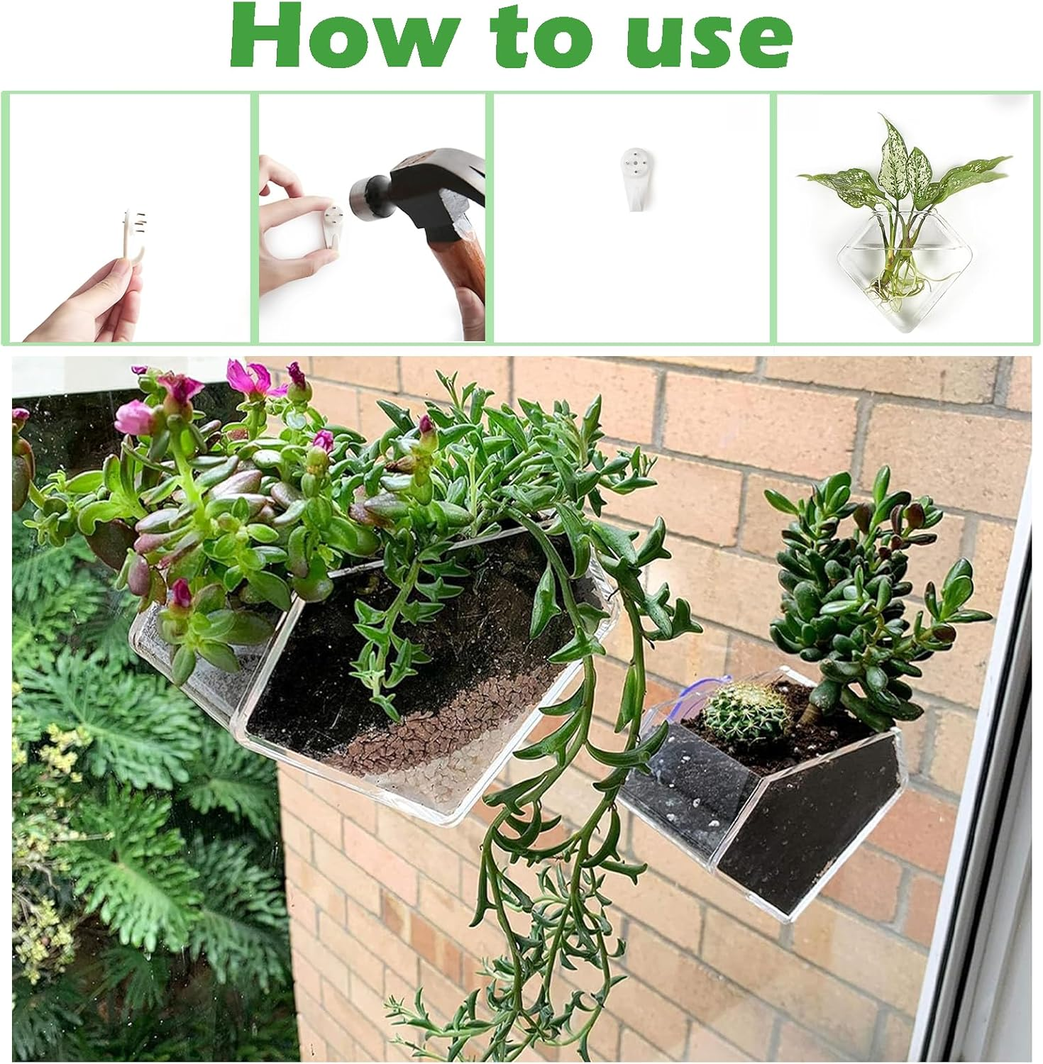 Acrylic Window Planter - Herb Garden - Ideal for Home Gardening Transparent Suction Cup Pot for Succulents, Herbs, and Indoor Gardens image number 1