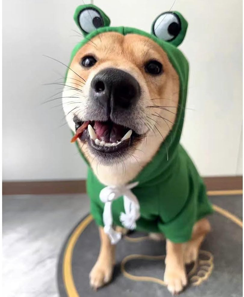 Dogs Hoodie, Sweatshirt Fruit Warm Coat Sweater, Cold Weather Costume for Puppy Small Medium Dog (Green, S) image number 1