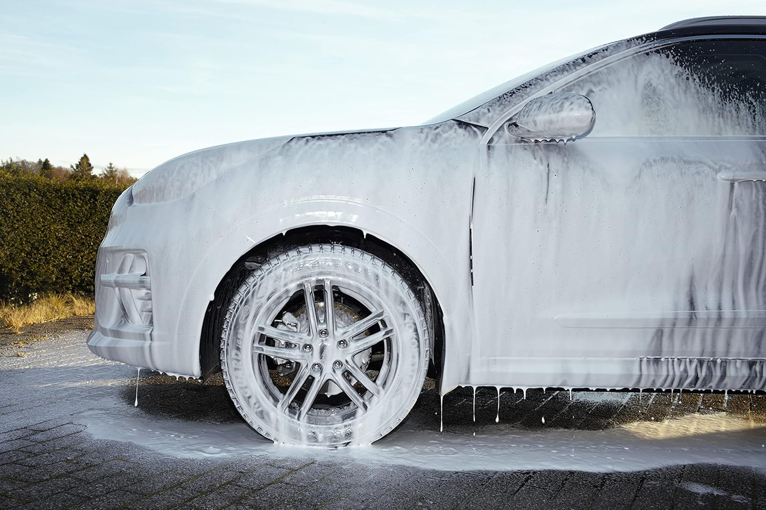 AVA by Masport Foam Cannon image number 5