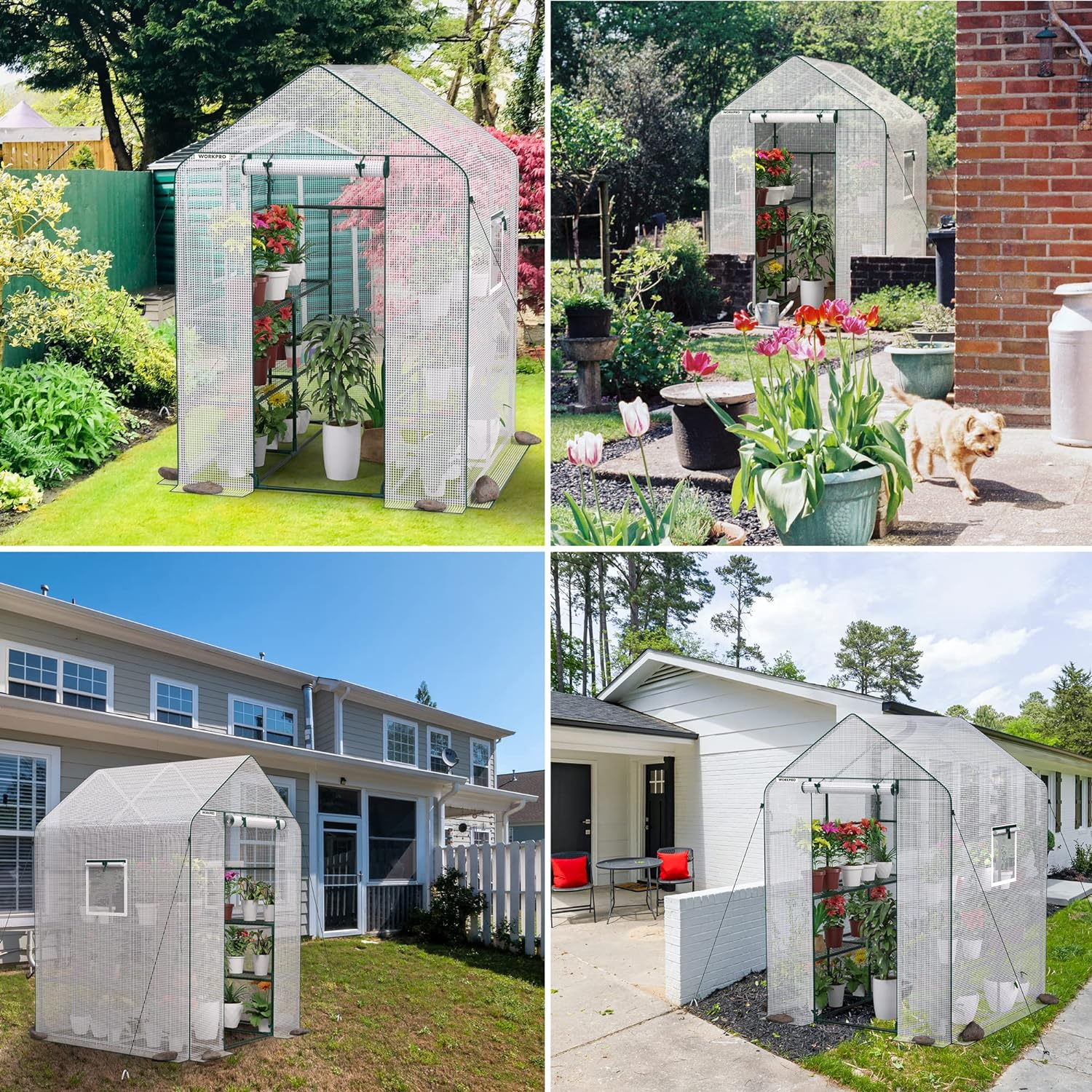 WORKPRO Greenhouse, 56&rdquo; X 56&rdquo; X 77&rdquo; Heavy Duty Walk in Greenhouses for Outdoors with Screen Windows, Thicken PE Cover, 3 Tier 8 Shelves Portable Green House Kit for Patio, Backyard and Porch image number 2