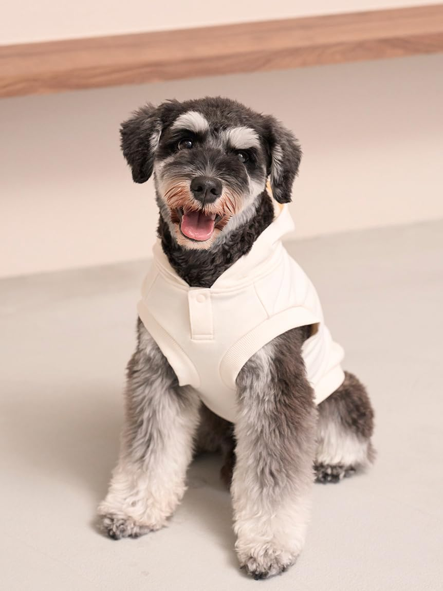 Gelato Pique Cat & Dog PAGG254589 IVR S Sporty Bear Fleece Pullover image number 6