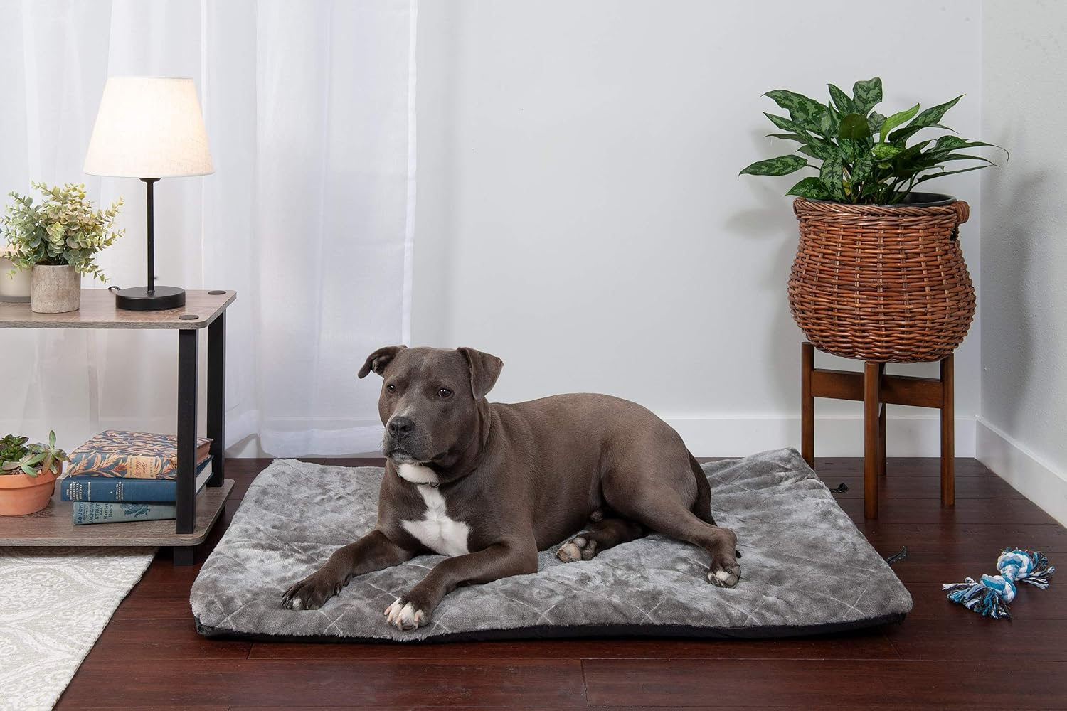 Furhaven Pet Kennel Pad | Reversible Two-Tone Water-Resistant Crate or Kennel Pad Pet Bed for Dogs & Cats, Green, Medium