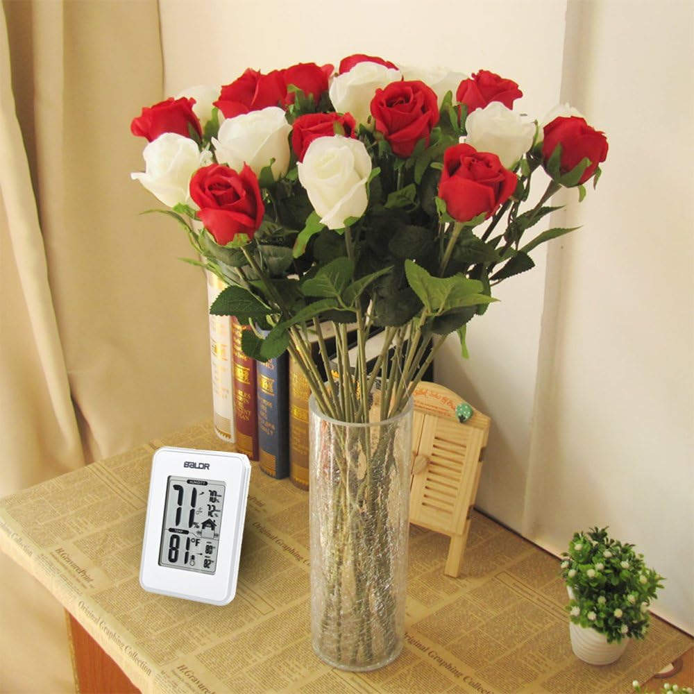 BALDR Digital Thermometer Hygrometer Monitor Indoor Temperature & Humidity Gauge, Min, Max, and Trend Indicator, White image number 1