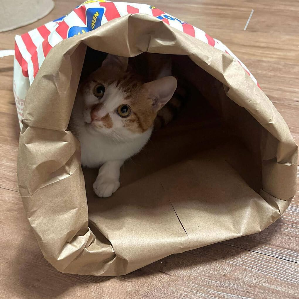 CLSSLVVBN Clean and Lovely Popcorn Paper Bag Cats Seek and Play Activities and Paper Bag Nest Specially Designed for Pets Pet Cat image number 1