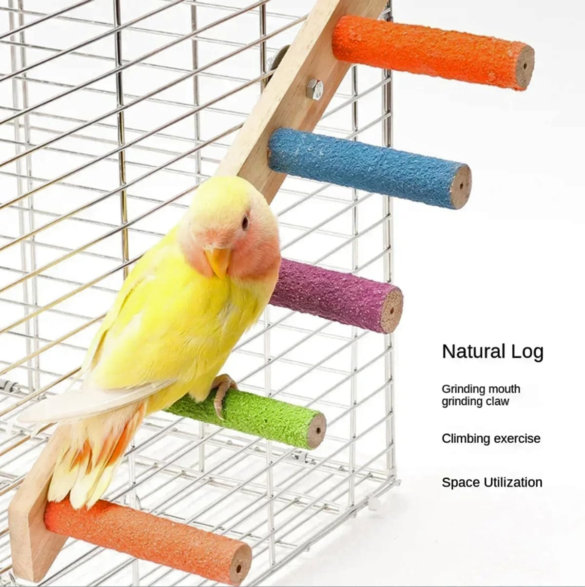 Bird Ladder Stand Interactive Frosted Stand Parakeet Toys for Parrots Birds Nature Wood Bird Perch for Cage image number 5