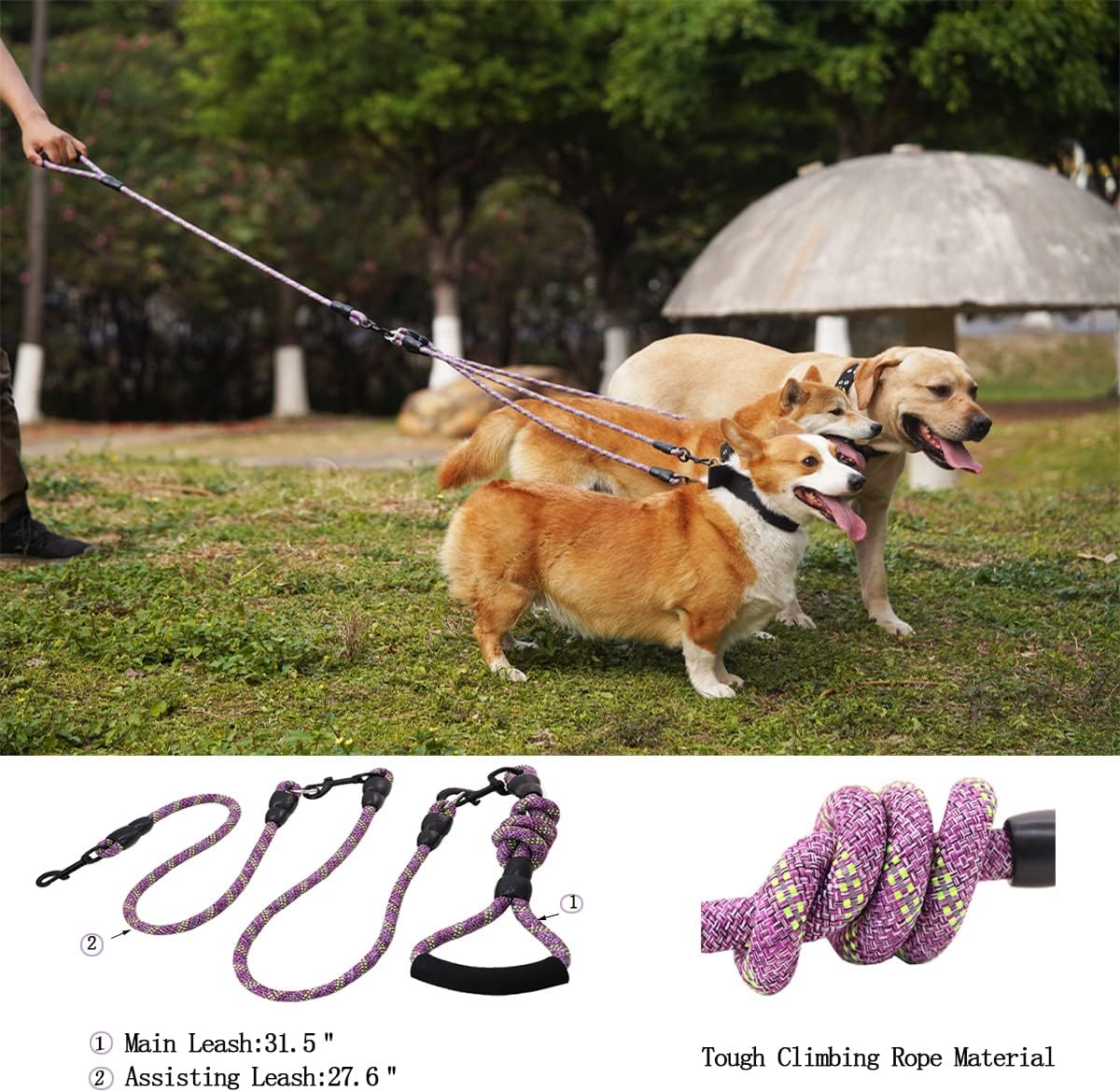 Heyllou 3 Dog Leash - Padded Handle, 360&deg; Swivel Multiple Dog Leash No Tangle, Lead for Medium Large Dogs, Walking & Training Double Dogs (Purple Green) image number 2