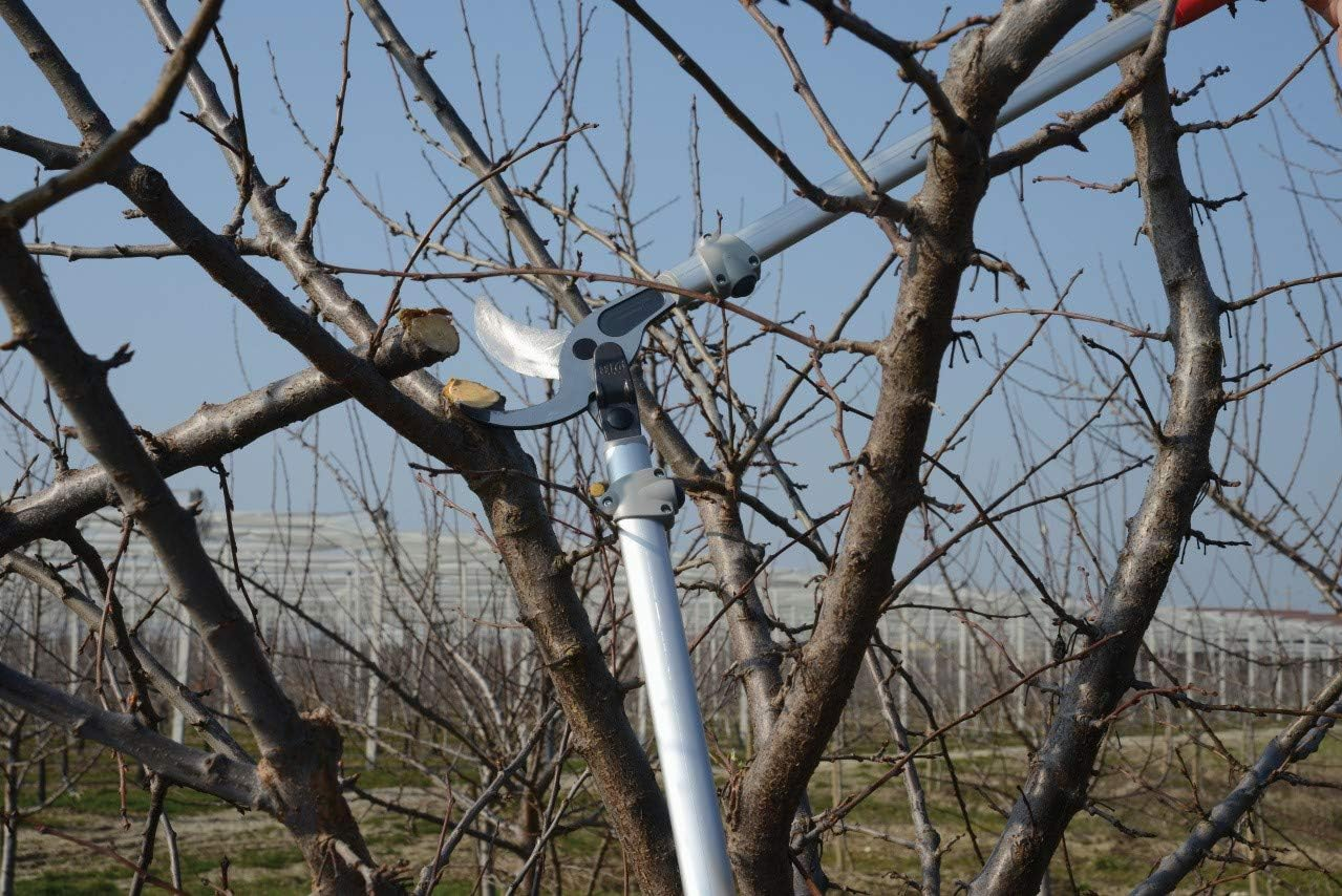 Felco Two Lever Action Lopper, 80 Cm Length image number 2