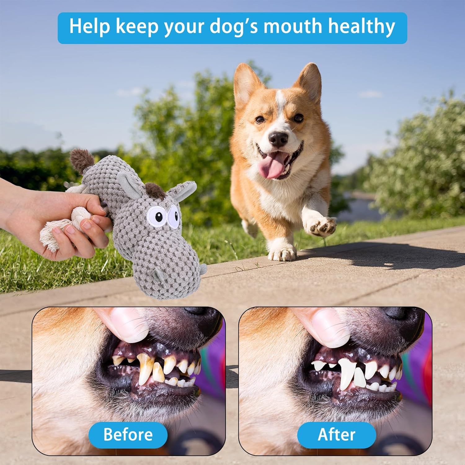 JIZZU Dog Squeaky Toy, Dog Plush Toy for Boredom for Middle, Large Dogs, Fun Squeaky Dog Toys with Crinkle Paper, Interactive Dog Toys/Squeaky Dog Toys/Dog Birthday Gifts (Cotton Rope Dog) image number 2