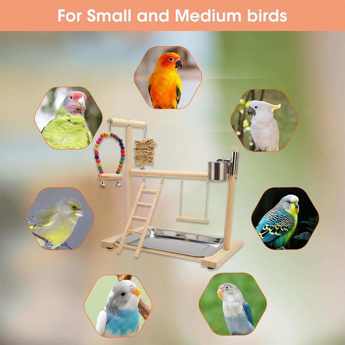 AIMALL Parrot Wooden Playground with Climbing Ladder Swing and Feeding Stand &ndash; Zanthoxylum Wood Interactive Activity Rack for Small and Medium Birds 16.14In X 14.17In image number 3