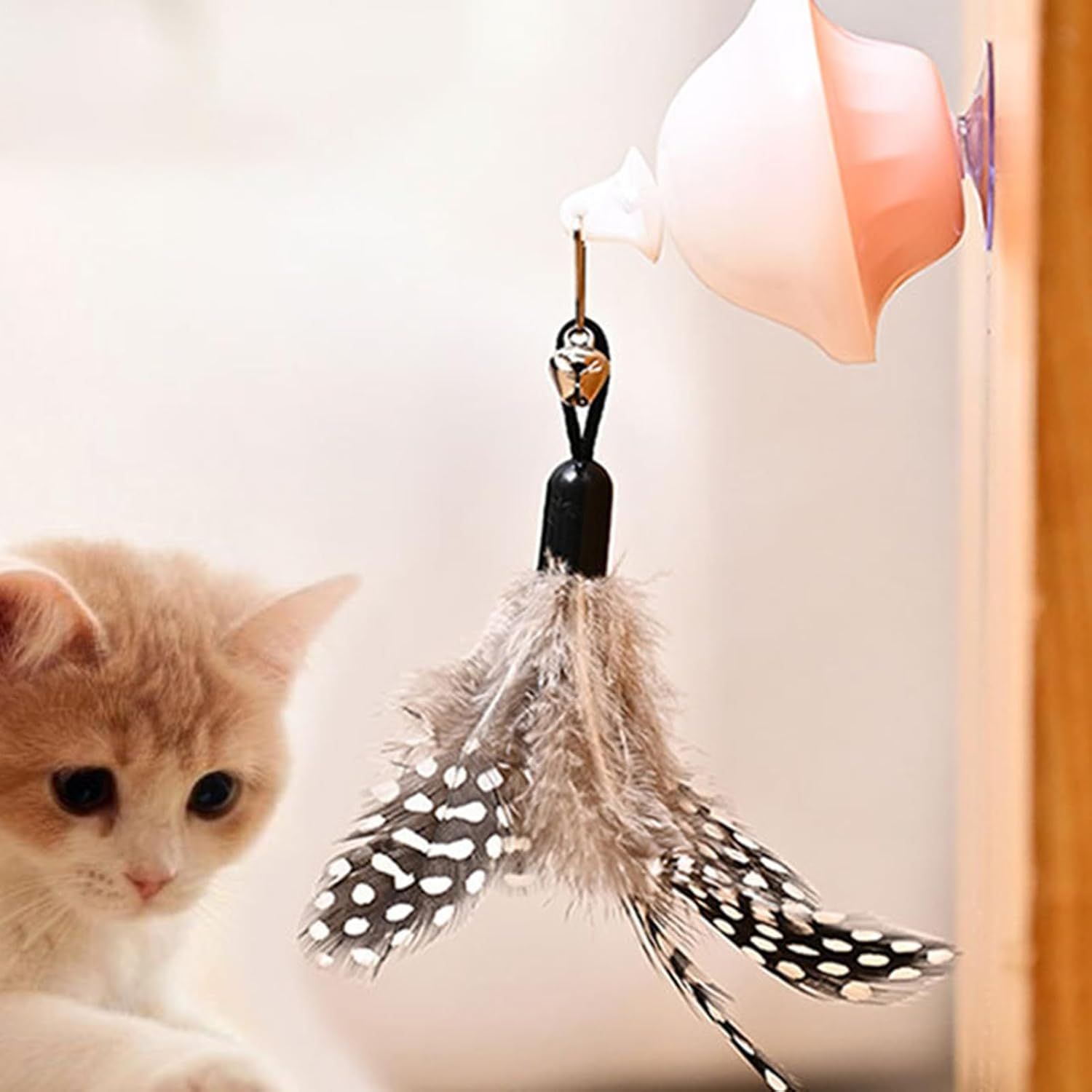 Cat Retracting Toy,Chew-Resistant Companion | Retractable Bored Cat Toy | for Small Medium Large Breeds Living Room Bedroom Study Room Balcony image number 5