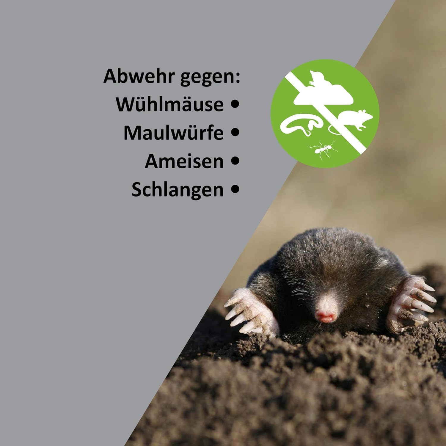 ISOTRONIC Solar Mole Scarer, Effective Vibrasonic Deterrent against Mole, Mouse, Rat, Ant, Vole, Snake - High Frequency Outdoor Repeller - Pack of 3 Pcs. image number 4