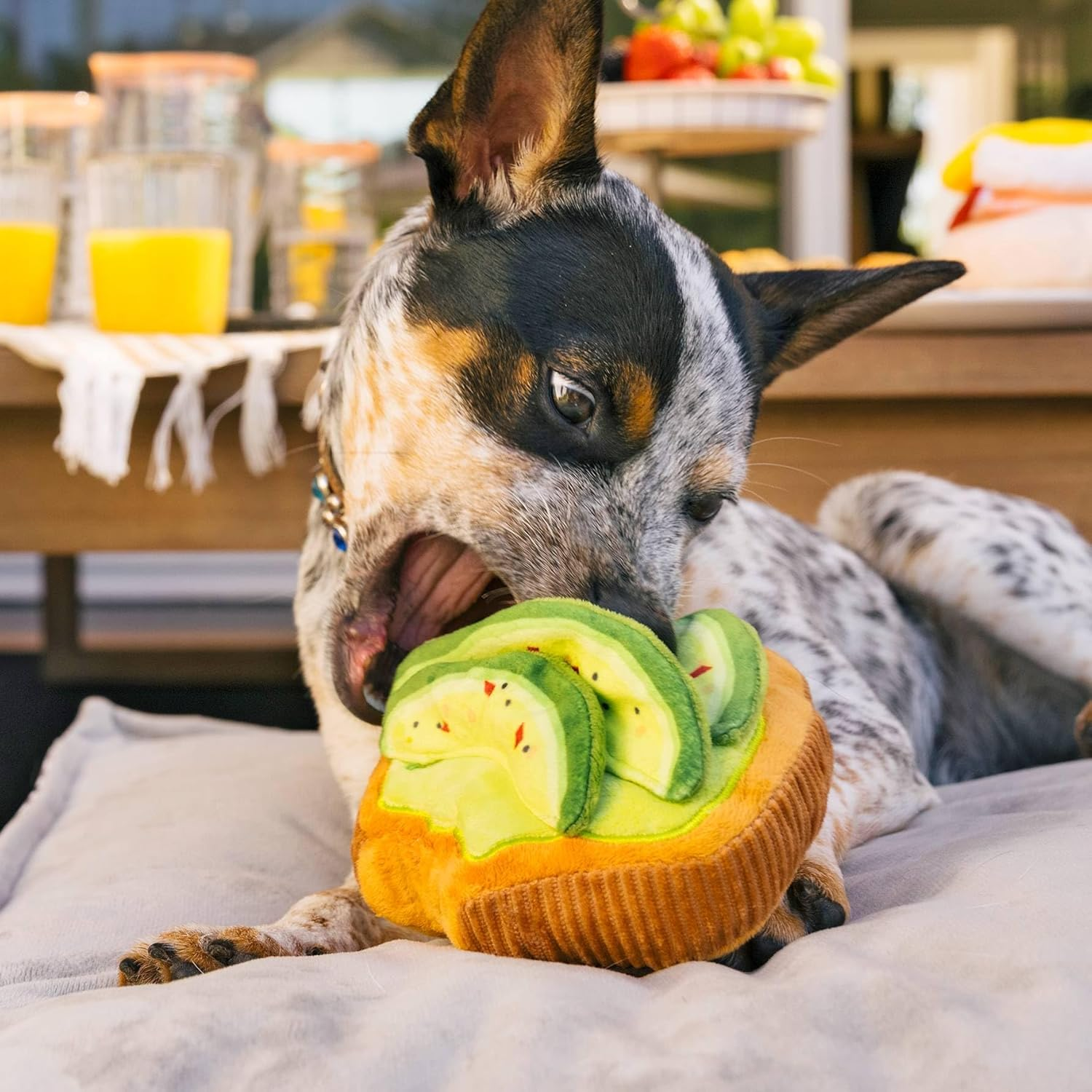 P.L.A.Y. Cute Plush Dog Toys - Brunch Food Themed Durable Squeaker Chew Toy, Great for Puppies & Small, Medium, Large Dogs - Machine Washable, Recycled Materials (Avo-Doggo Avocado Toast, Medium) image number 2