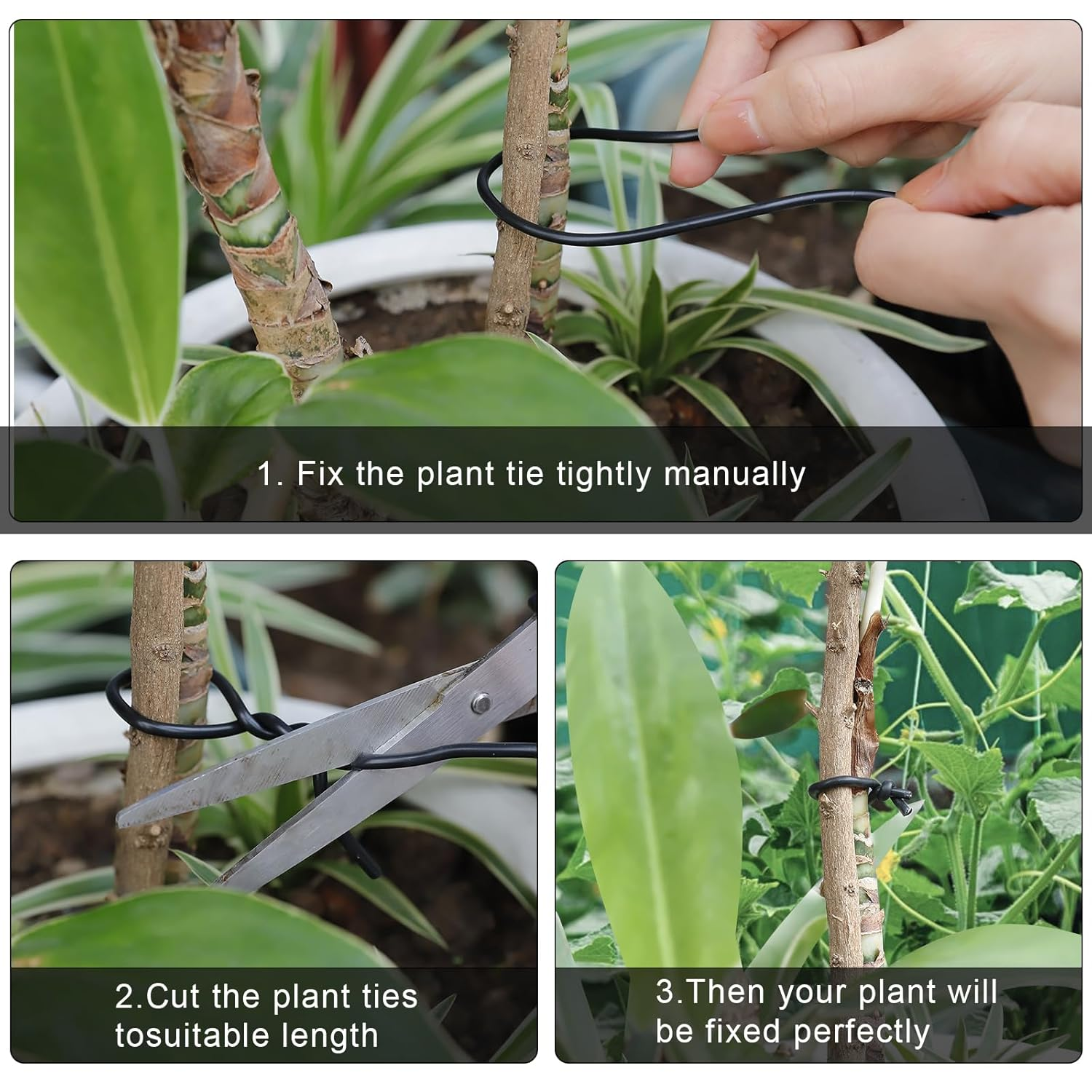 101 Feet Black Plant Twist Ties, Soft Plant Ties for Vine Support, 3Mm TPR Flexible Garden Tie for Plants Gardening Office Home Use image number 2