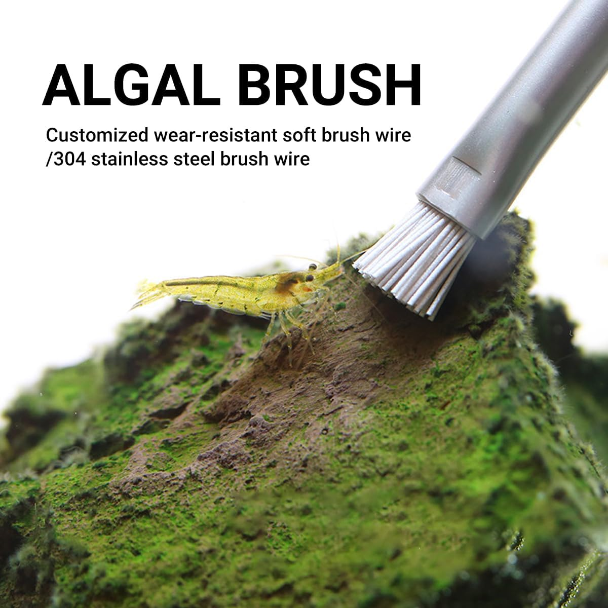 AIMALL Landscape Stone Cleaning Brush &ndash; Dual-Sided Algae Brush for Water and Grass, Style Cleaning Tool for Stones and Wood, Stainless Steel image number 3