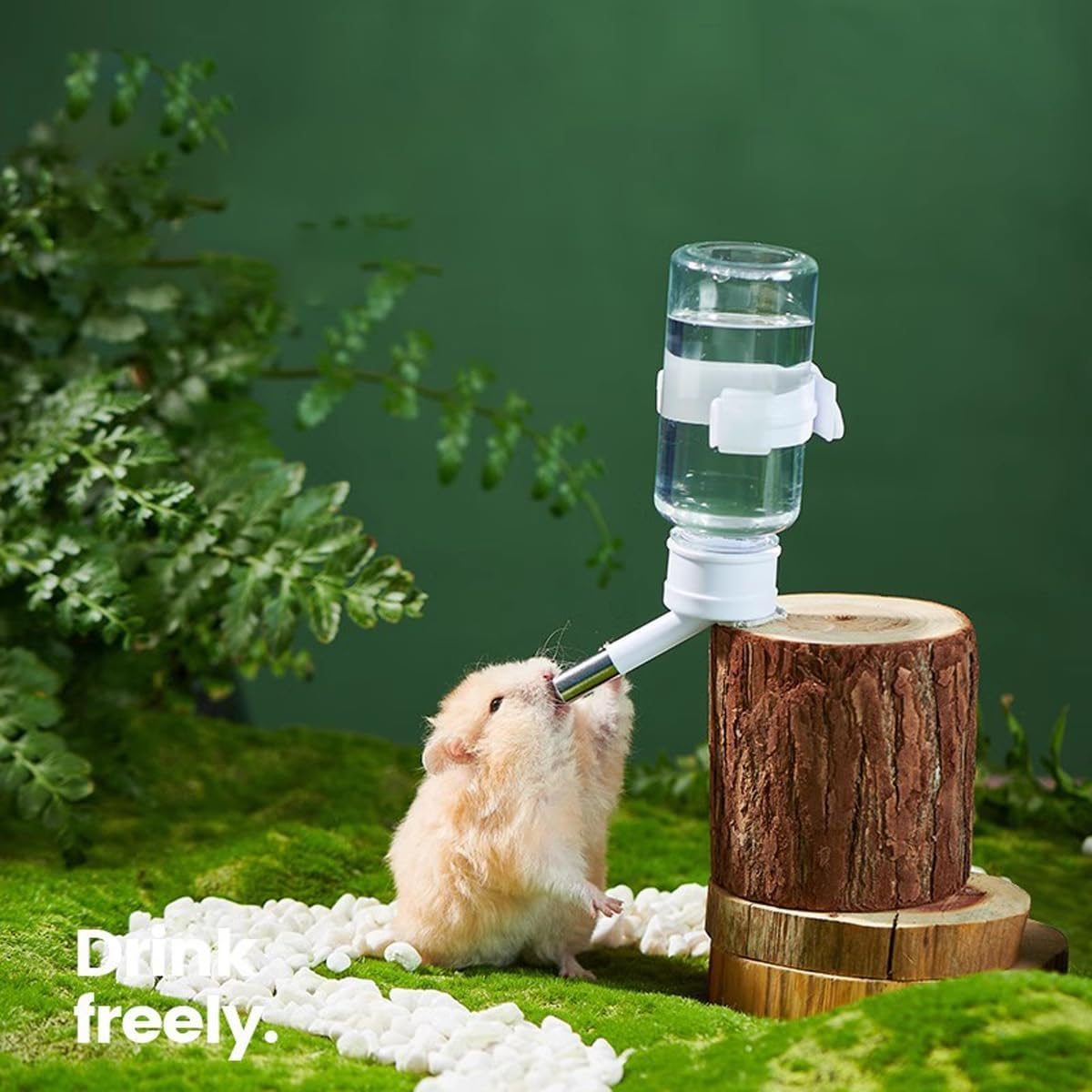 AIMALL Hamster Drinking Water Bottle - Vacuum Water Feeder for Rabbit, Guinea Pig, Golden Bear image number 2