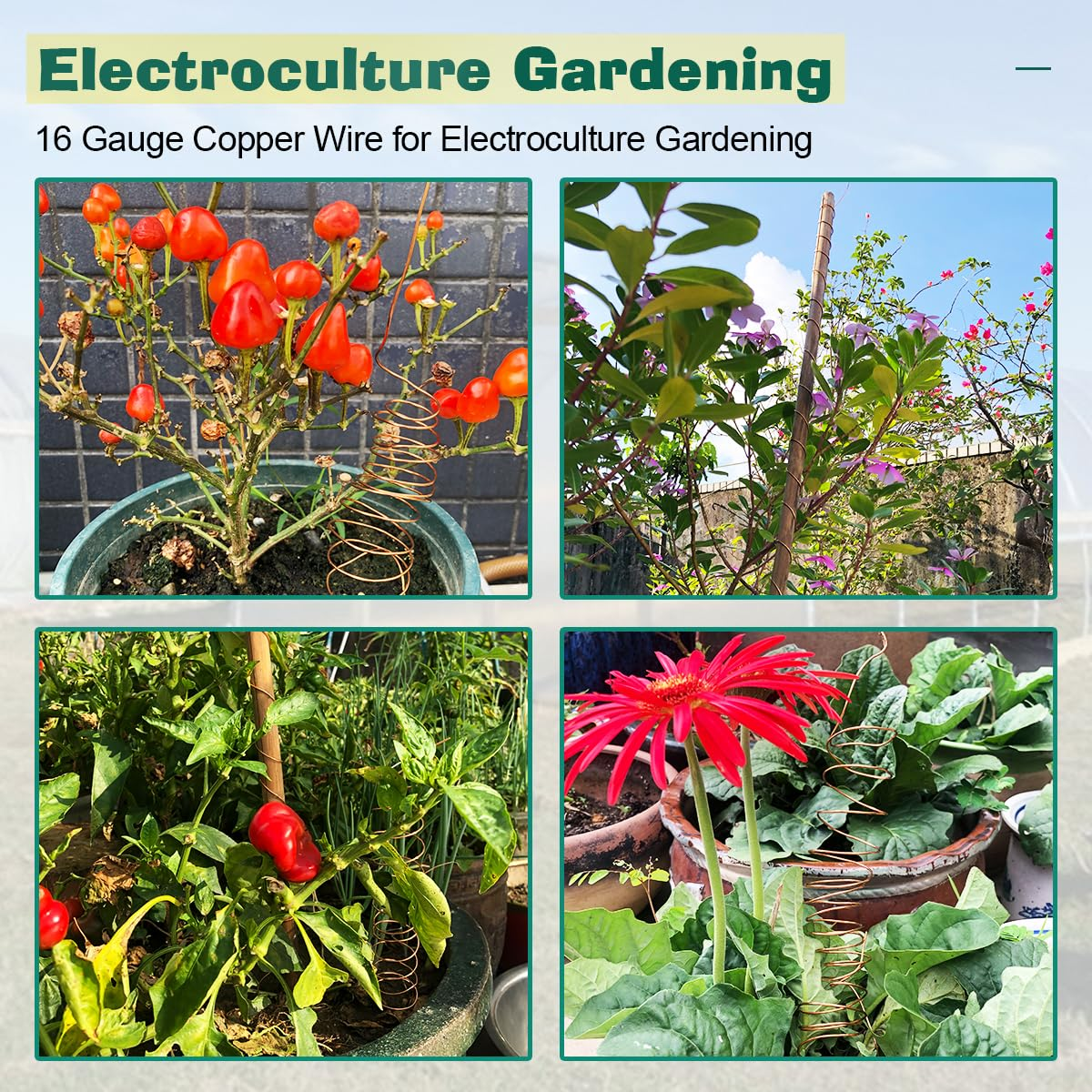 UCINNOVATE 99.9% Copper Wire, 16 Gauge Pure Copper Wire for Jewelry Making, 66FT 1.3Mm Diameter Solid Bare Copper Wire for Electroculture Gardening, Soft Copper Wire 16 Gauge for Craft 1/2 Lb Spool image number 3