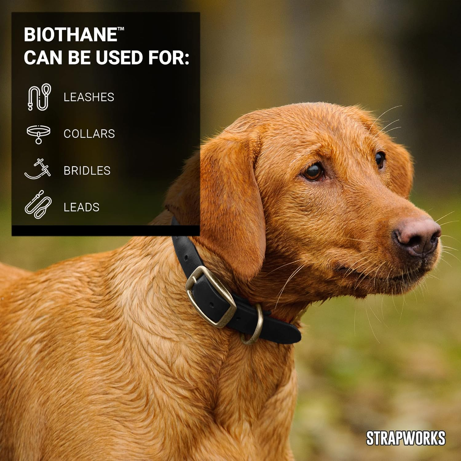 Strapworks Biothane Beta Series Coated Webbing, 1 Inch X 100 Feet, Black image number 5