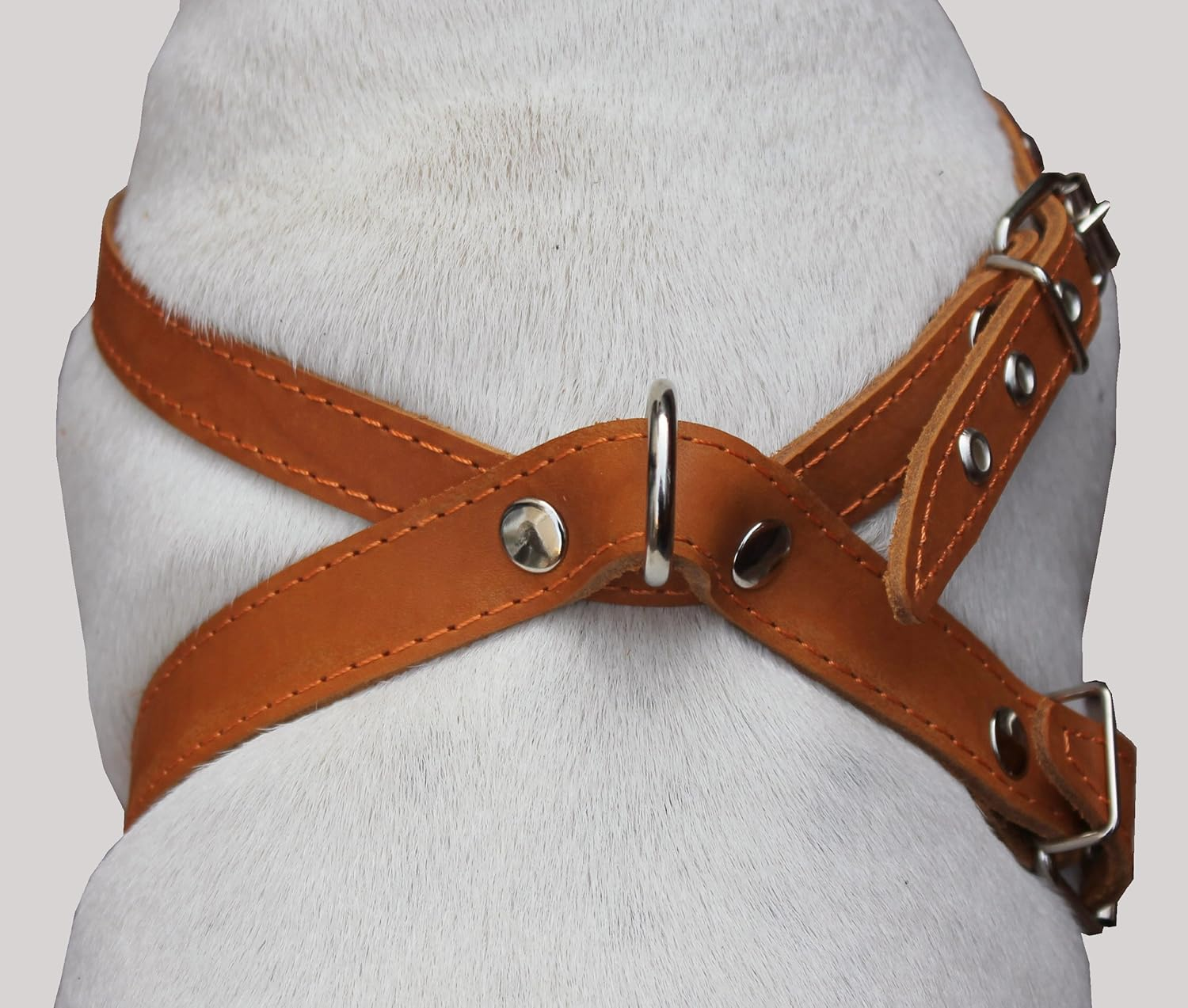 Tan Real Leather Dog Harness Medium. 21"-25" Chest, 1" Wide Straps