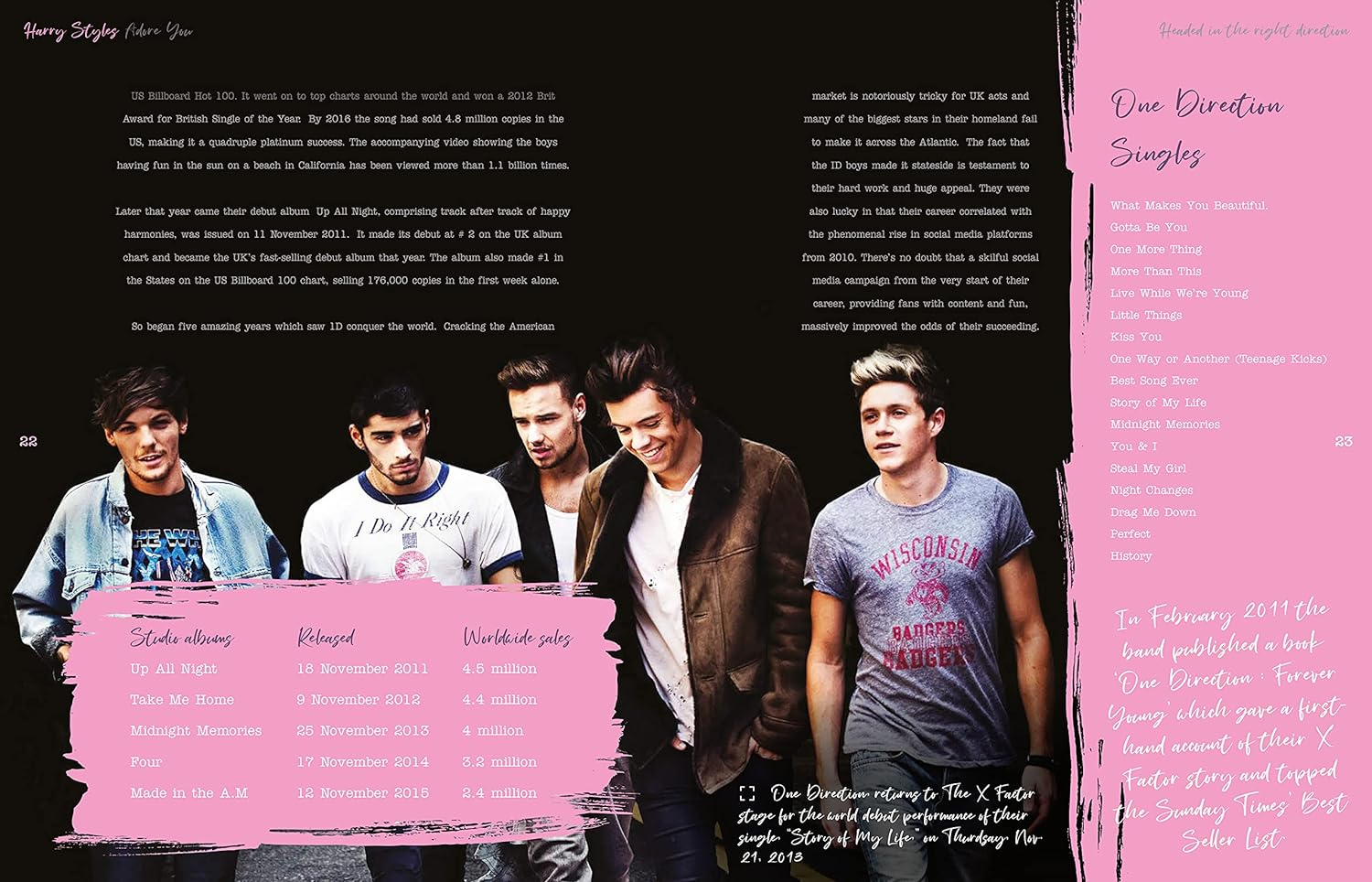 Harry Styles: Adore You: the Illustrated Biography