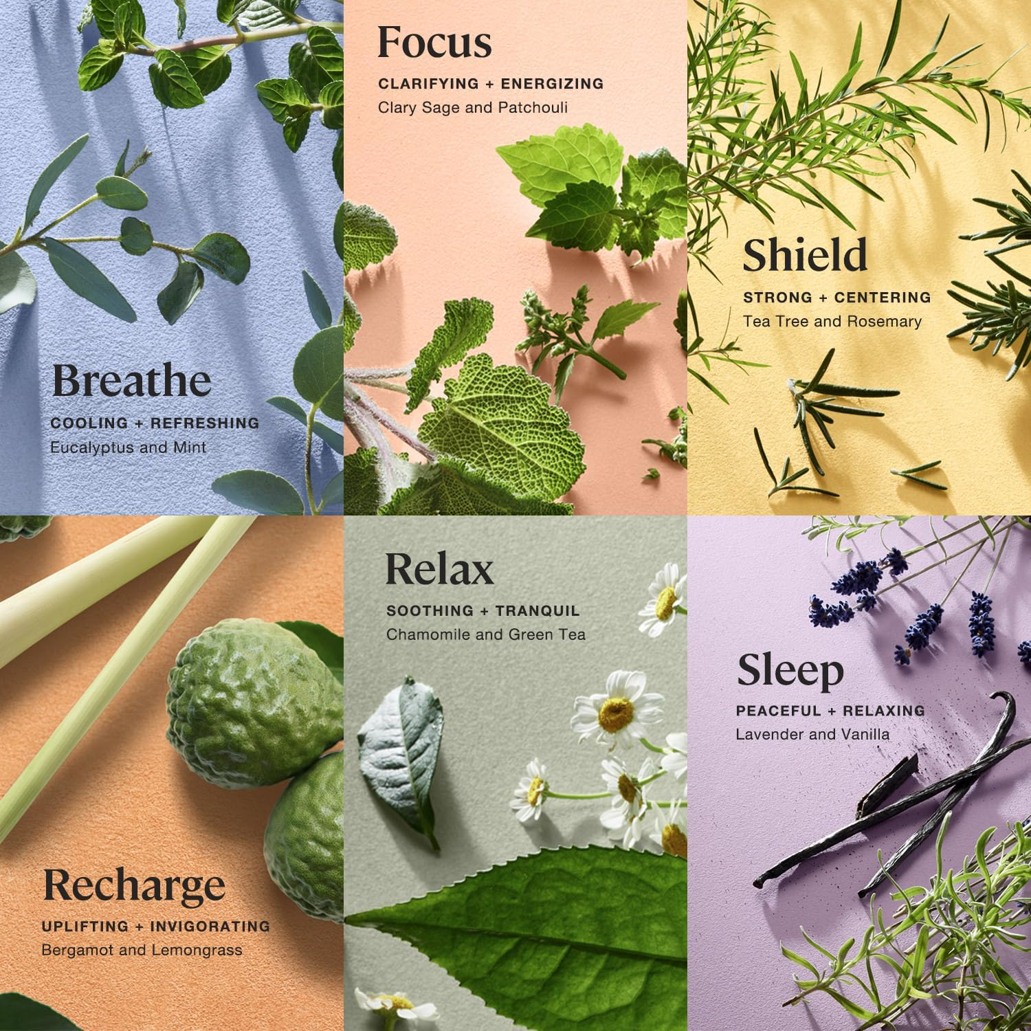 Kohler Sprig Bath Bomb Essentials Pack - Variety Pack (6 Count) - Bath Bombs image number 2