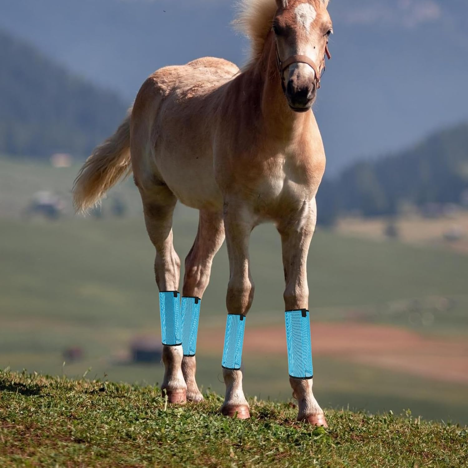 HSHGZSR 4Pcs Mesh Fly Boots for Horses 18.5&times;14.6 Inch Breathable Mesh Horse Boots Protective Horse Leg Wraps Horse Leggings Flies Fly Boots for Preventing Flies and Mosquitoes Bites image number 1
