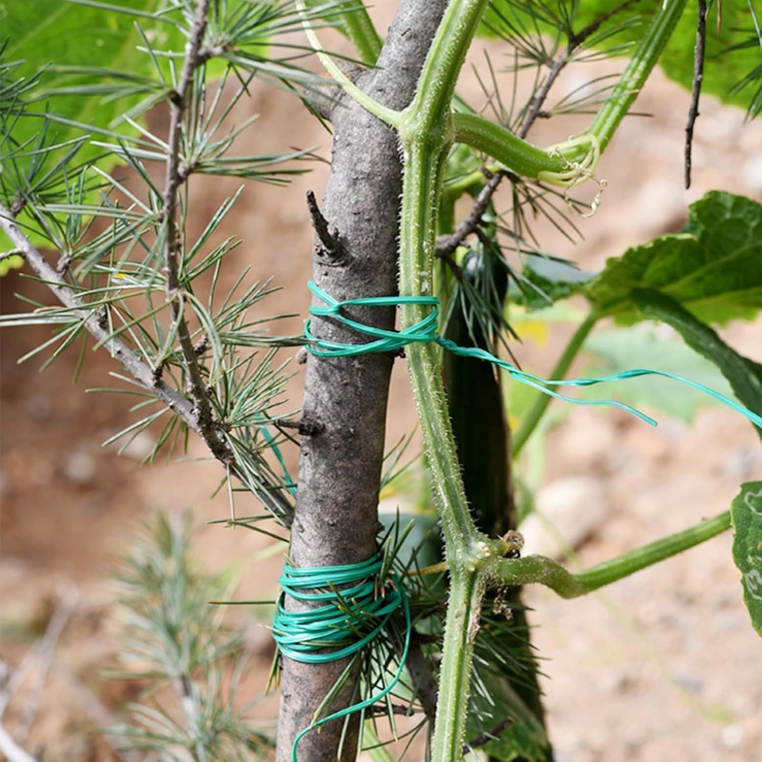 2 Roll 328 Feet Twist Ties, Betterjonny Green Garden Plant Ties with Trimmer, Multi-Function Sturdy Garden Plant Twist for Gardening, Home, Office(2 Roll X 100M) image number 3