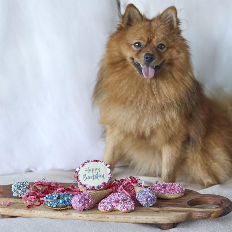 Dog Birthday Treats Party Pack - Pink image number 1