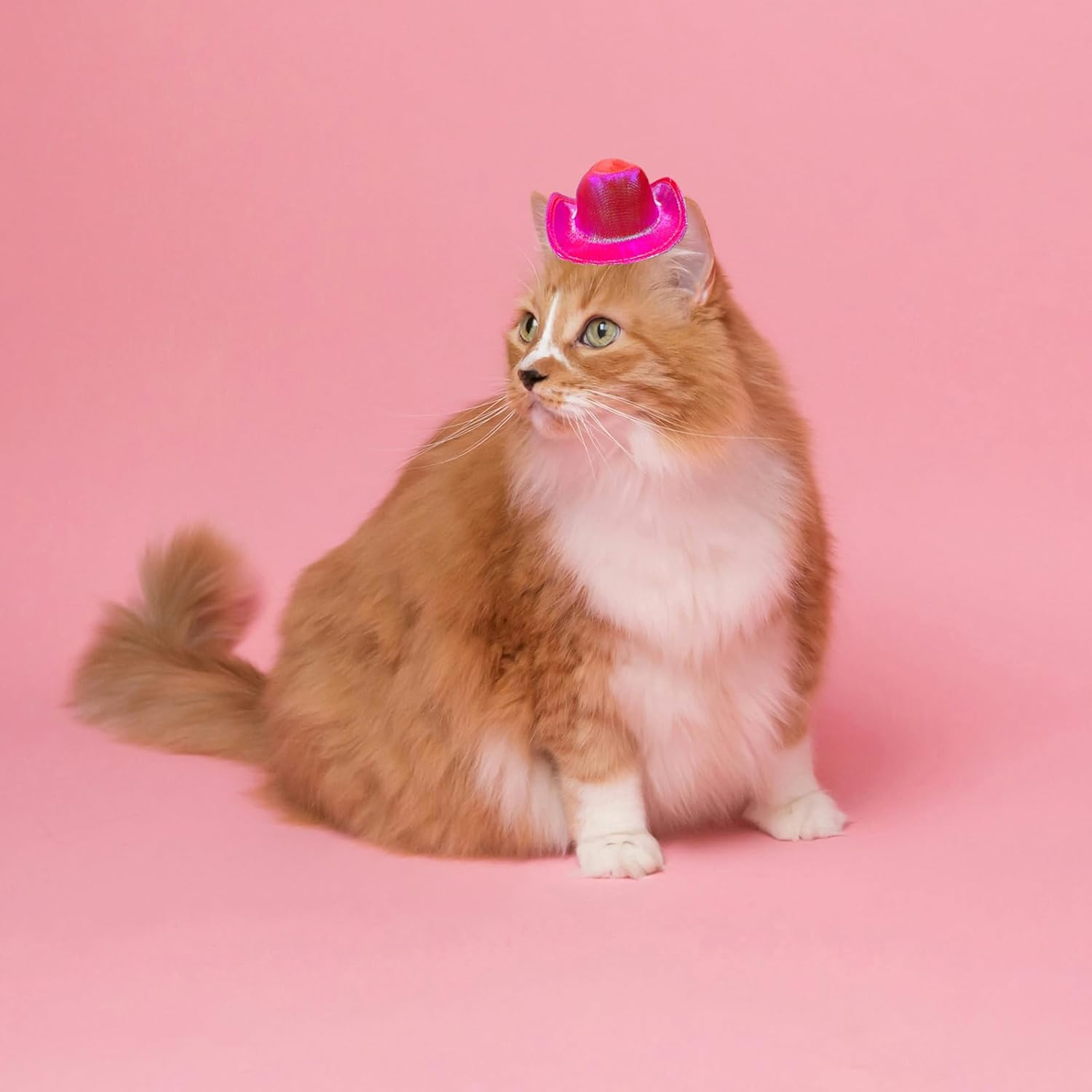 Dog and Cat Cowboy Hat, Pet Costume, Mini Hat for Halloween Party Decoration (Rose Red-Style2, Small) image number 3