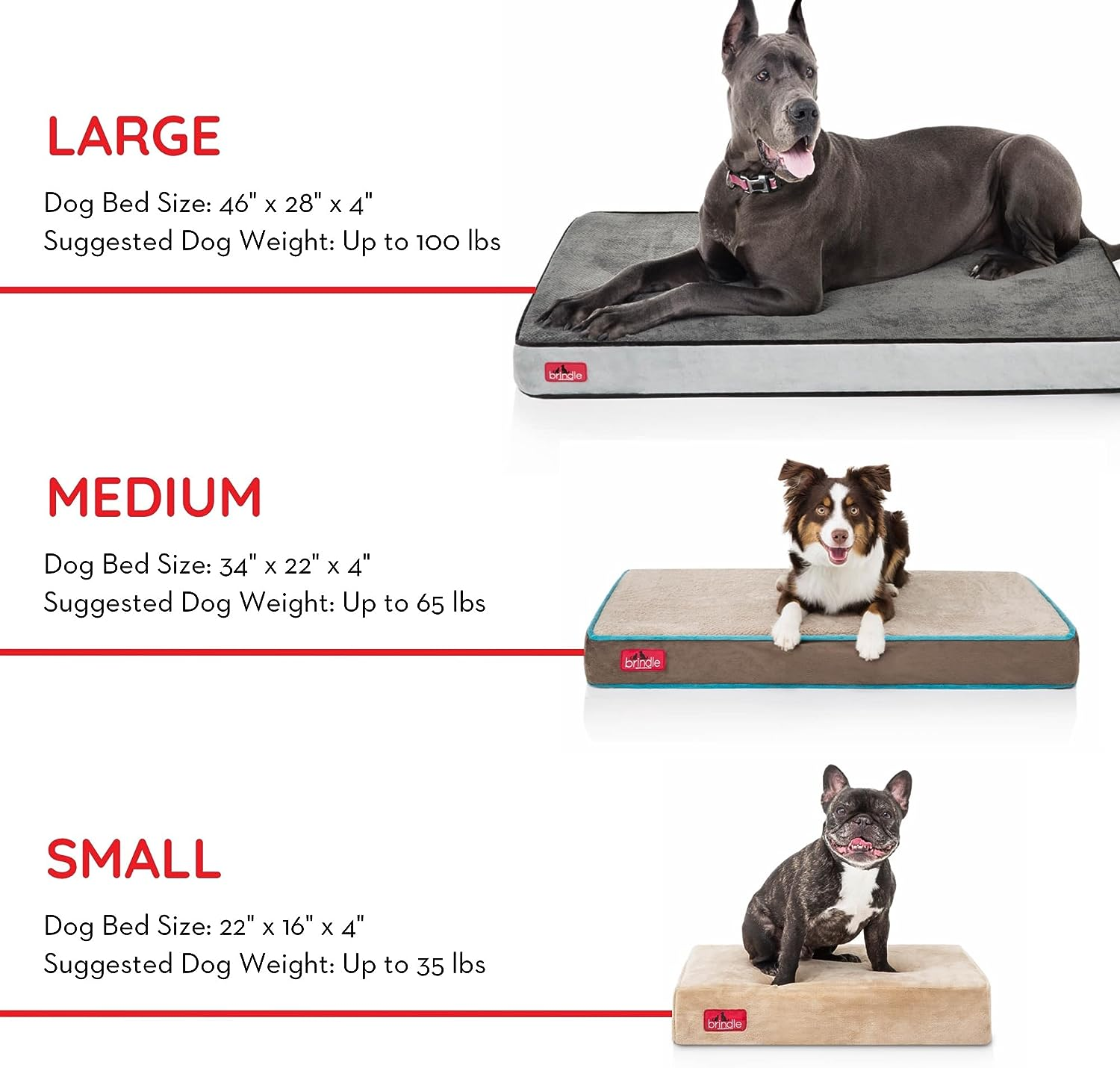 BRINDLE Waterproof Memory Foam Pet Bed - Removable and Washable Cover - 4 Inch Orthopedic Dog and Cat Bed - Fits Most Crates