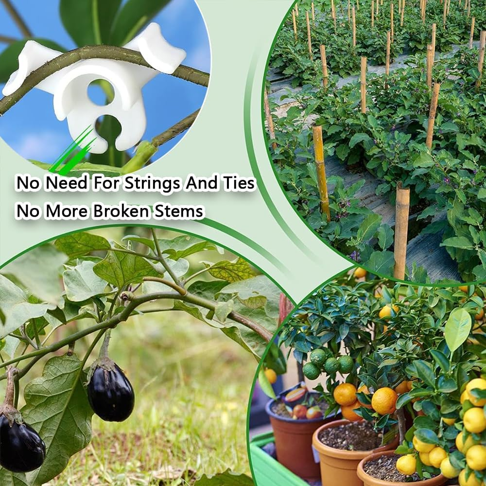 FUNNTY 30 Pcs 90 Degree Plant Training Clips,Bud Plant Bender Plant Training Clips,Lst Clips for Low Stress Training Plant Stem Support,Plant Gardening,90 Degree Angle Plant Clips(Circle Style,White)