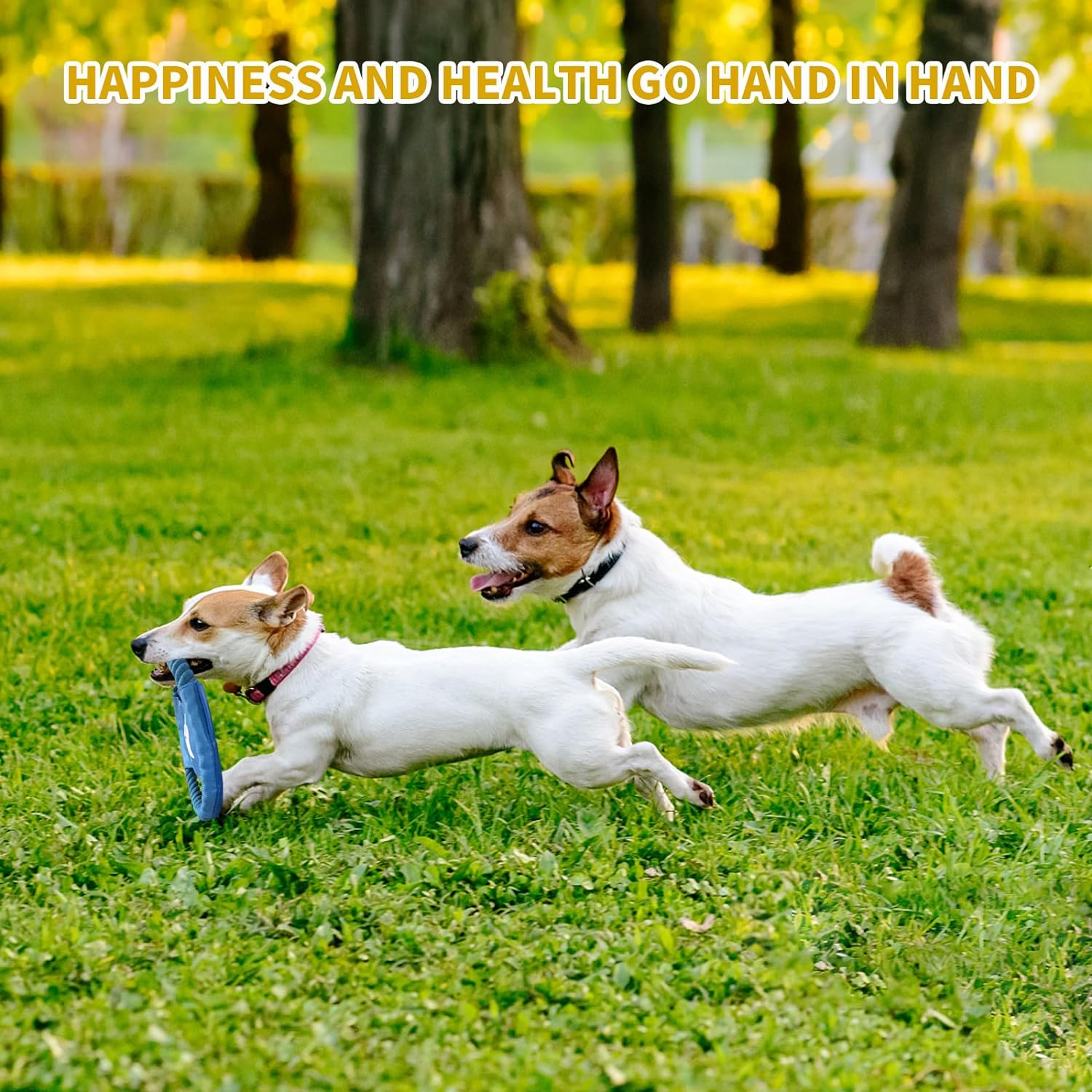 Jasonwell Dog Toys Durable Puppy Teething Toys Dog Chewing Rope Puppy Ball Interactive Dog Toy for Small Big Dogs Teether Rope Dog Toy Set (24Pcs)