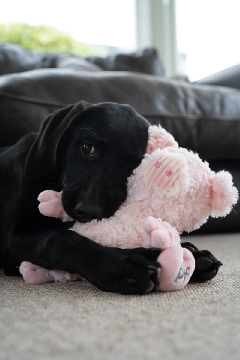 Petface (Little Petface) Peony Pig Plush Dog Toy (Pack of 1) image number 1