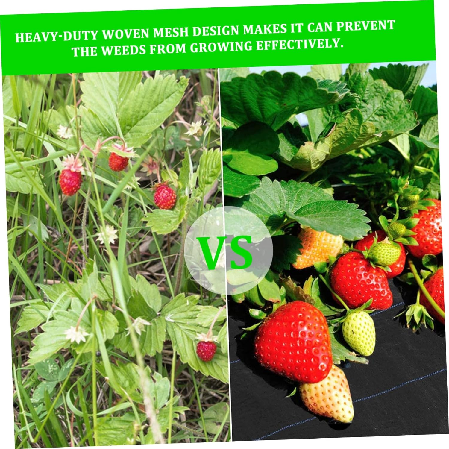 Yardwe Sturdy Weeding Ground Cloth 20 Pack Pp Barrier Fabric for Gardening Orchards image number 5