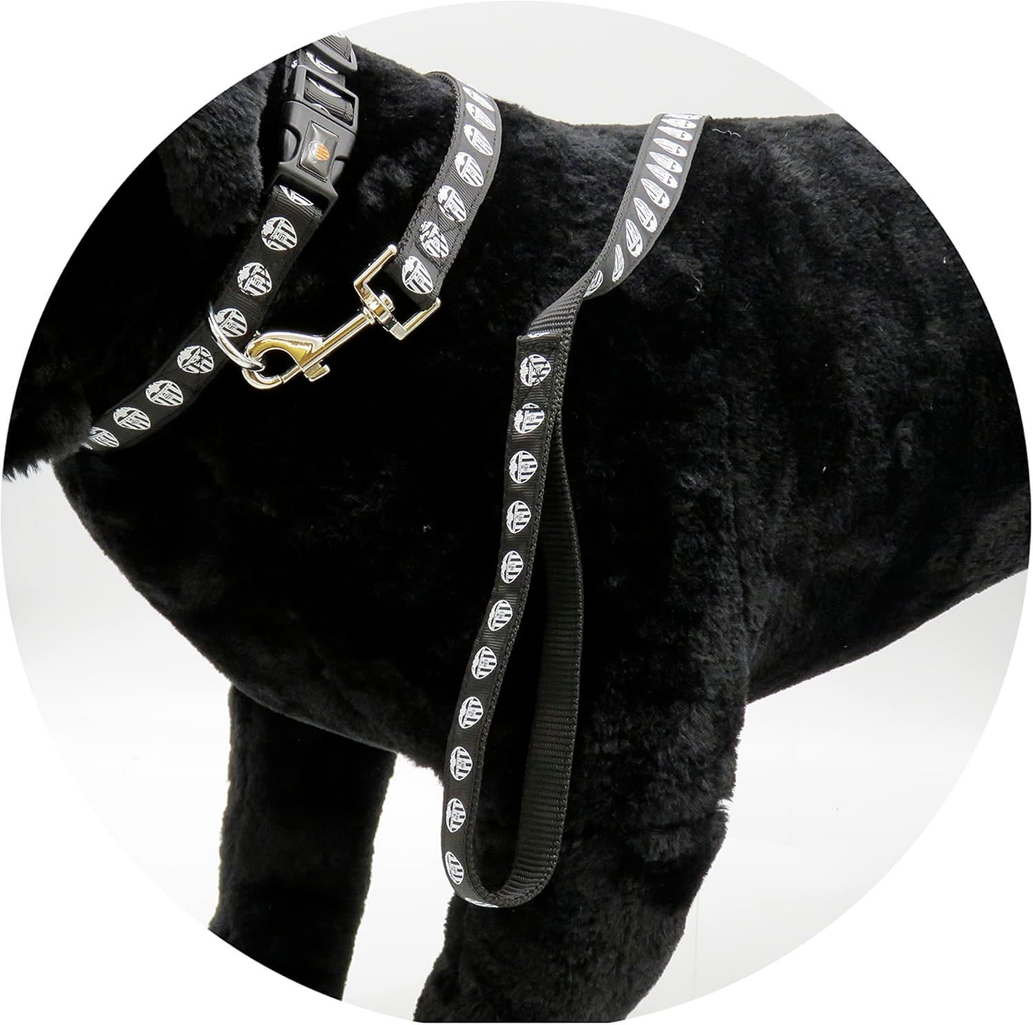 Dog Lead - Size S-M - Valencia Pet Accessories Football Official Product (Cyp Brands) image number 4