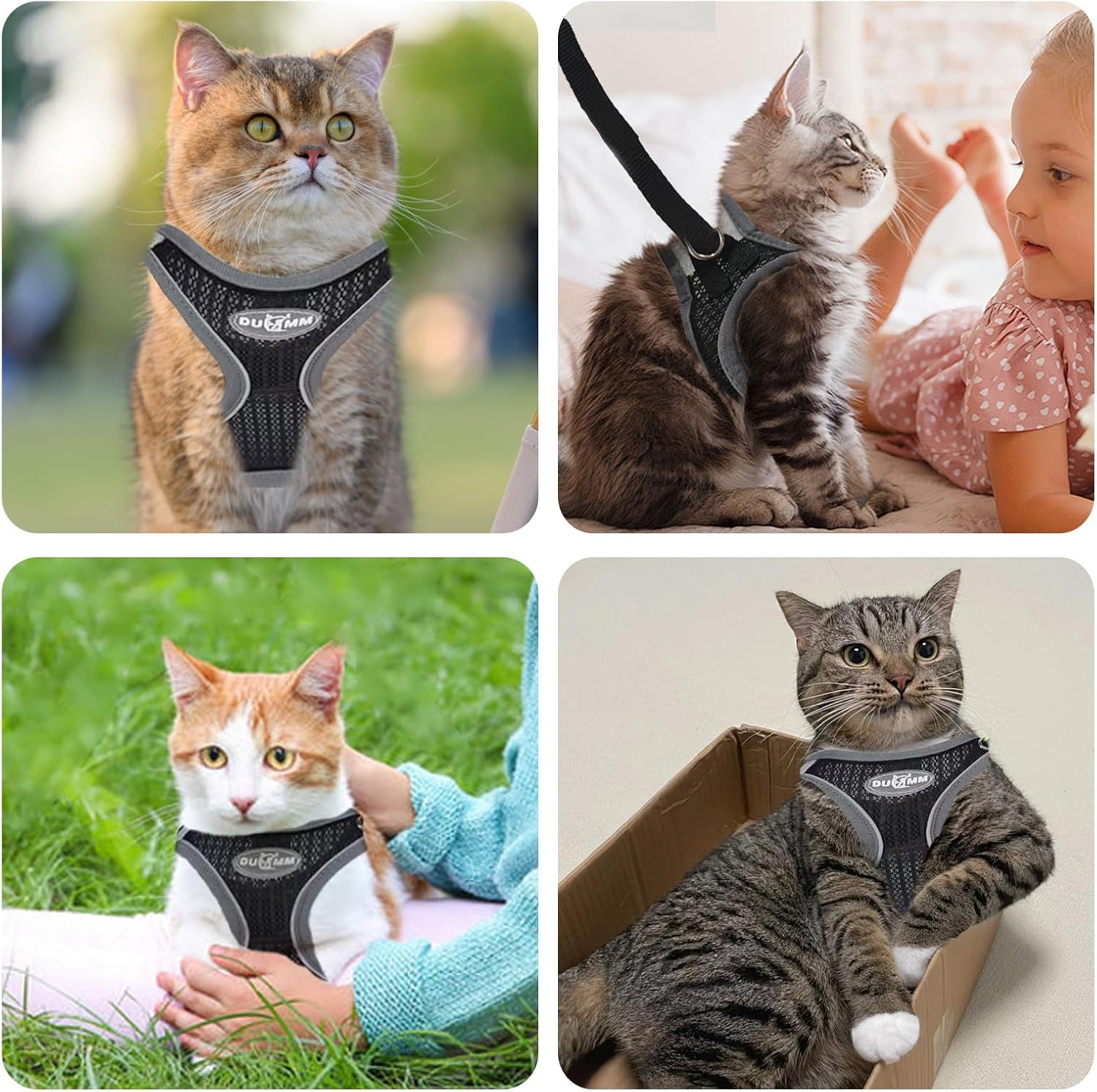 Cat Harness with Lead, Escape Proof, Adjustable Cat Harness, Cat Harness, Soft Inner Lining and Breathable Mesh with Reflective for Outdoor Training, Walking (Black, XS)