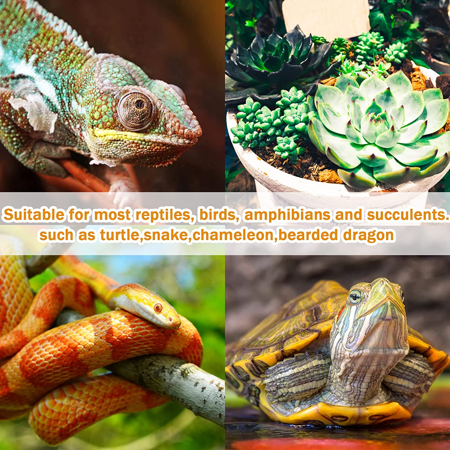 Reptile Domes Stand, Adjustable 17-37 Inch Heat Lamp Stand Fixture for Terrarium, Metal Basking Lamp Holder, Suitable for All Reptile Domes Lamp,Xl Size image number 4