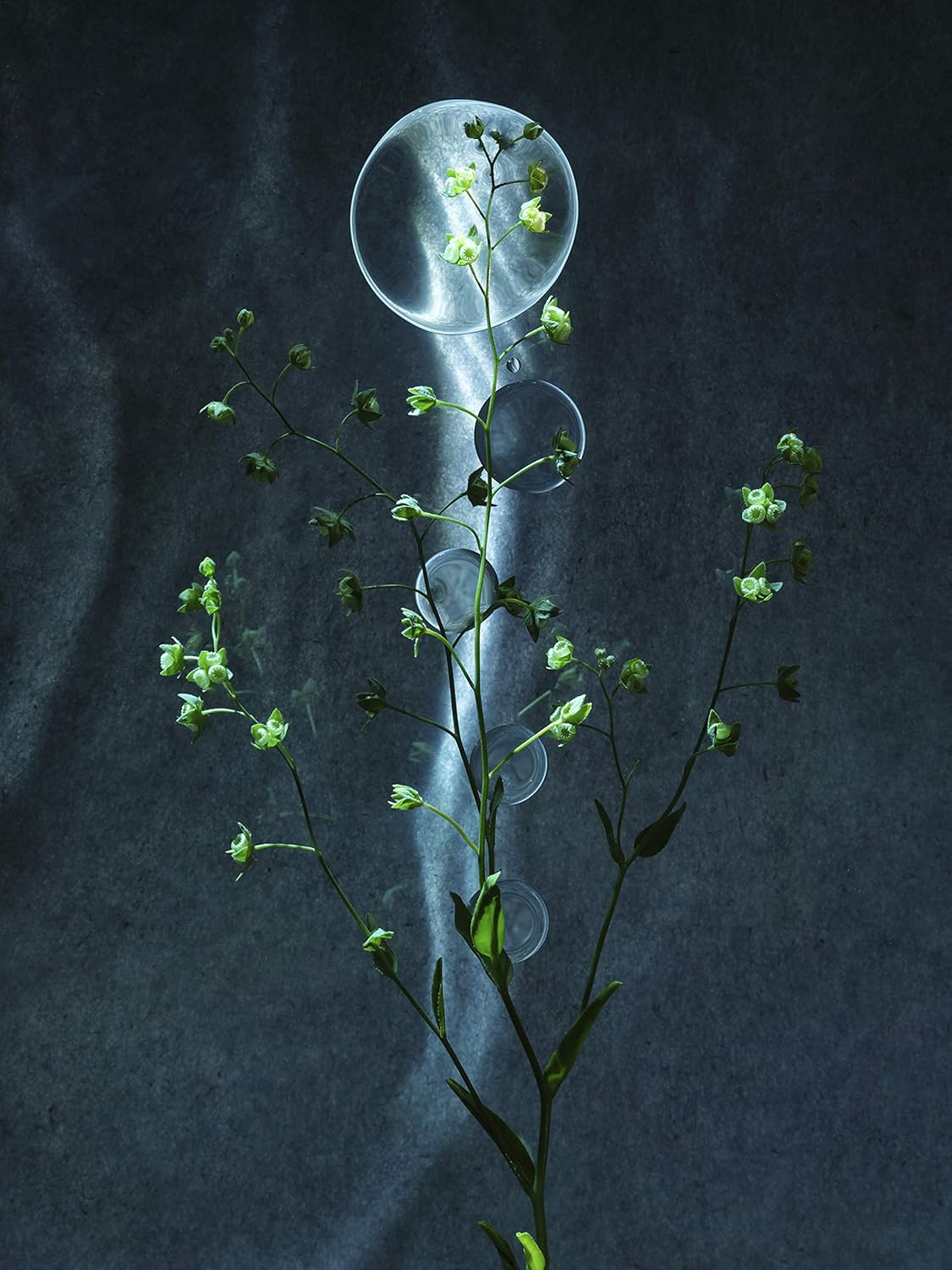 ILFORD Galerie Smooth Cotton Rag A3 310GSM - 25 Sheets Professional Galerie Smooth Cotton Rag A3 310GSM - 25 Sheets, White (2005007) image number 1