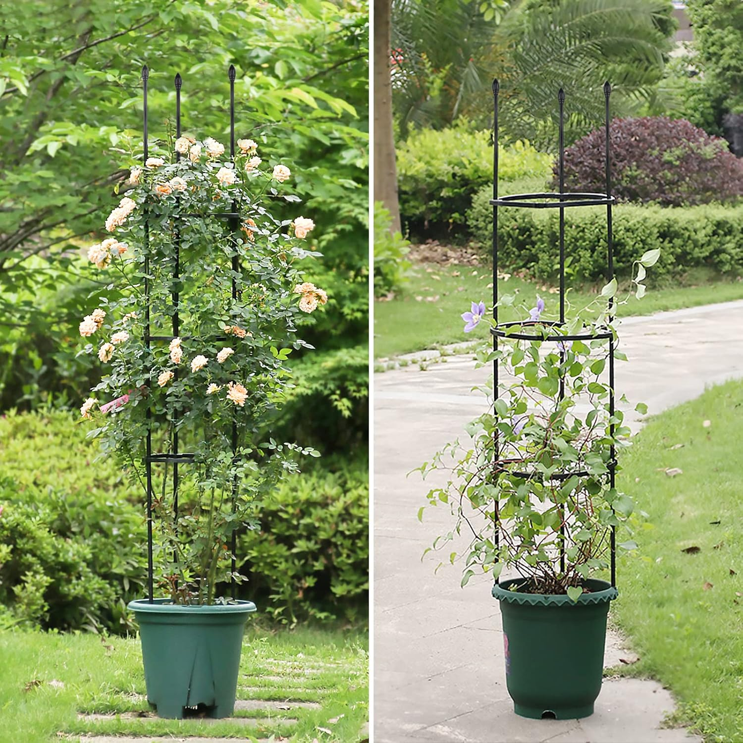 2 Pack Garden Trellis, 2 in 1 Plant Cages & Supports for Vines Crop, Potted/Climbing Plants Indoor Outdoor, Plant Stake for Flower, Vegetable, Tomato, Pot Trellis image number 1