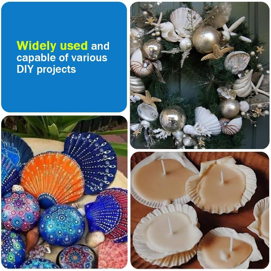 40Pcs Natural Scallop White Small Sea Shells for Real Seashells Shell Bulk Crafts Crafting for Ocean Party Home Decor Beach (White) image number 2