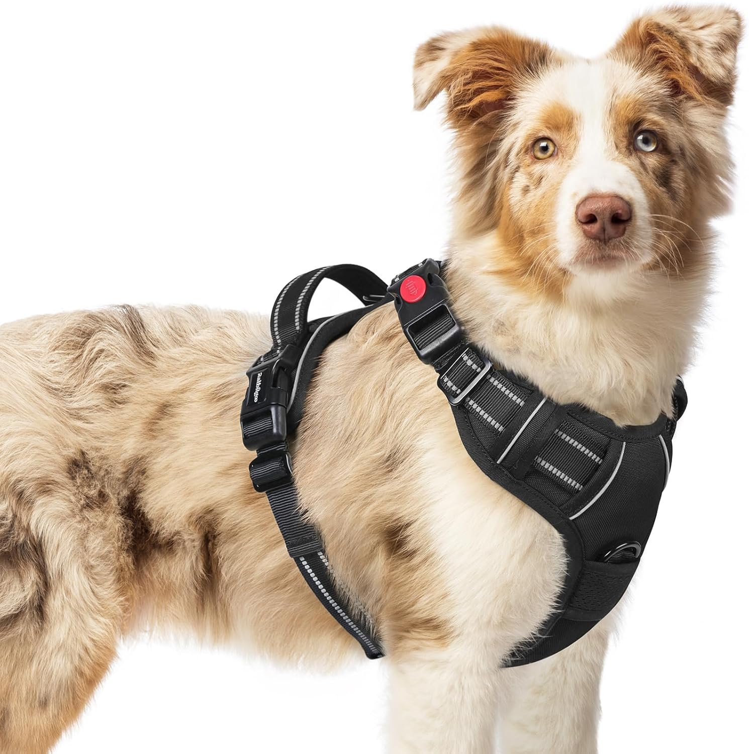 Rabbitgoo Dog Harness Medium Sized, No Pull Pet Harness with 3 Buckles, Adjustable Soft Padded Dog Vest with Instant Control Handle, Easy Walking Reflective Pet Vest for Medium Dogs, Blue, M