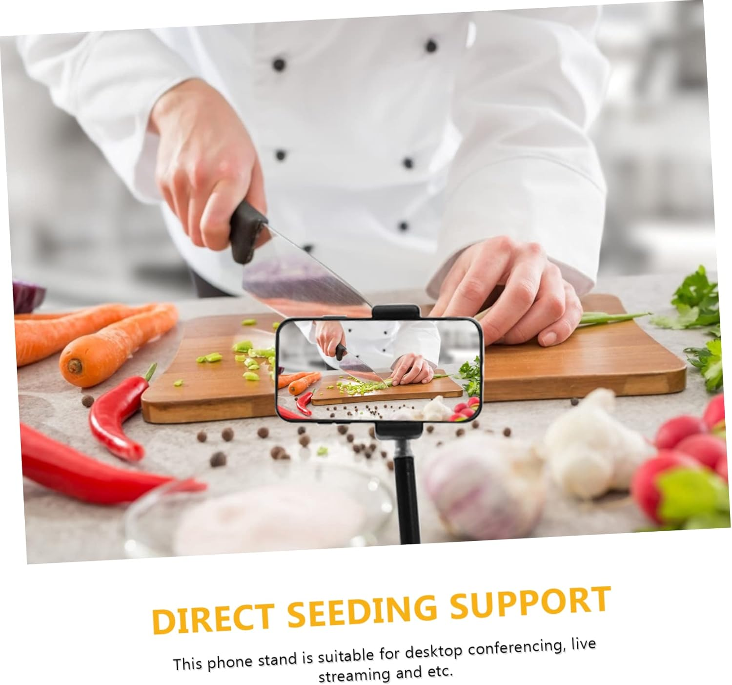 Live Streaming Phone Holder Stand Phone Suction Vacuum Suction Holder for Stand Accessory