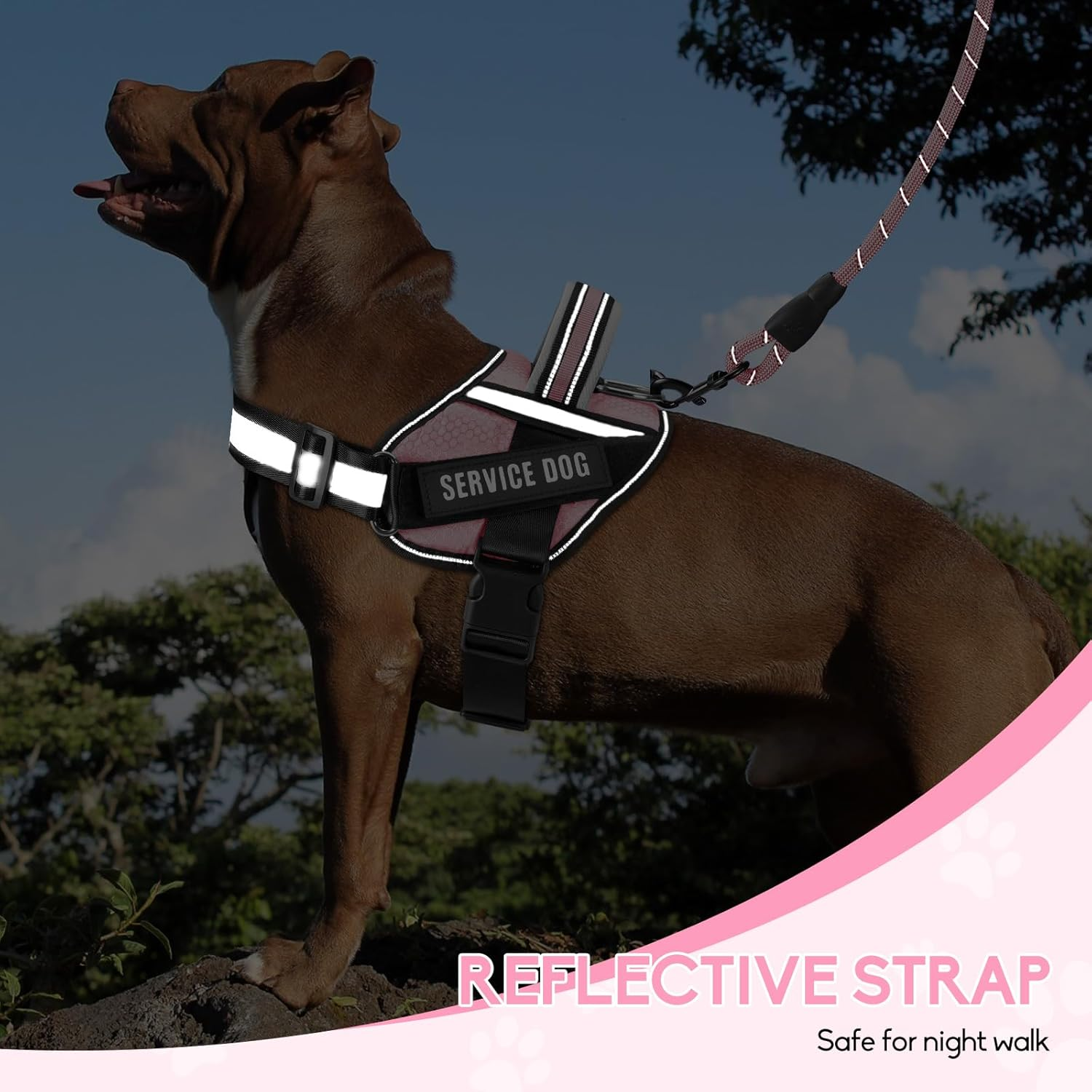 Service Dog Vest Harness and Leash Set, Animire in Training Dog Harness with 9 Dog Patches, Reflective Dog Leash with Soft Padded Handle for Small, Medium, Large, and Extra-Large Dogs (RED,XL) Pink image number 3